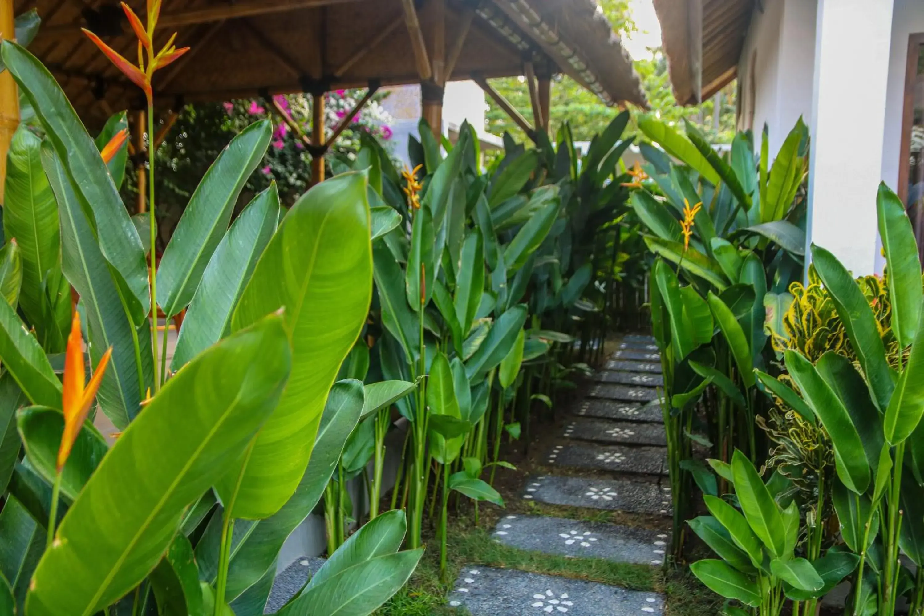 Garden in Cozy Cottages Lombok