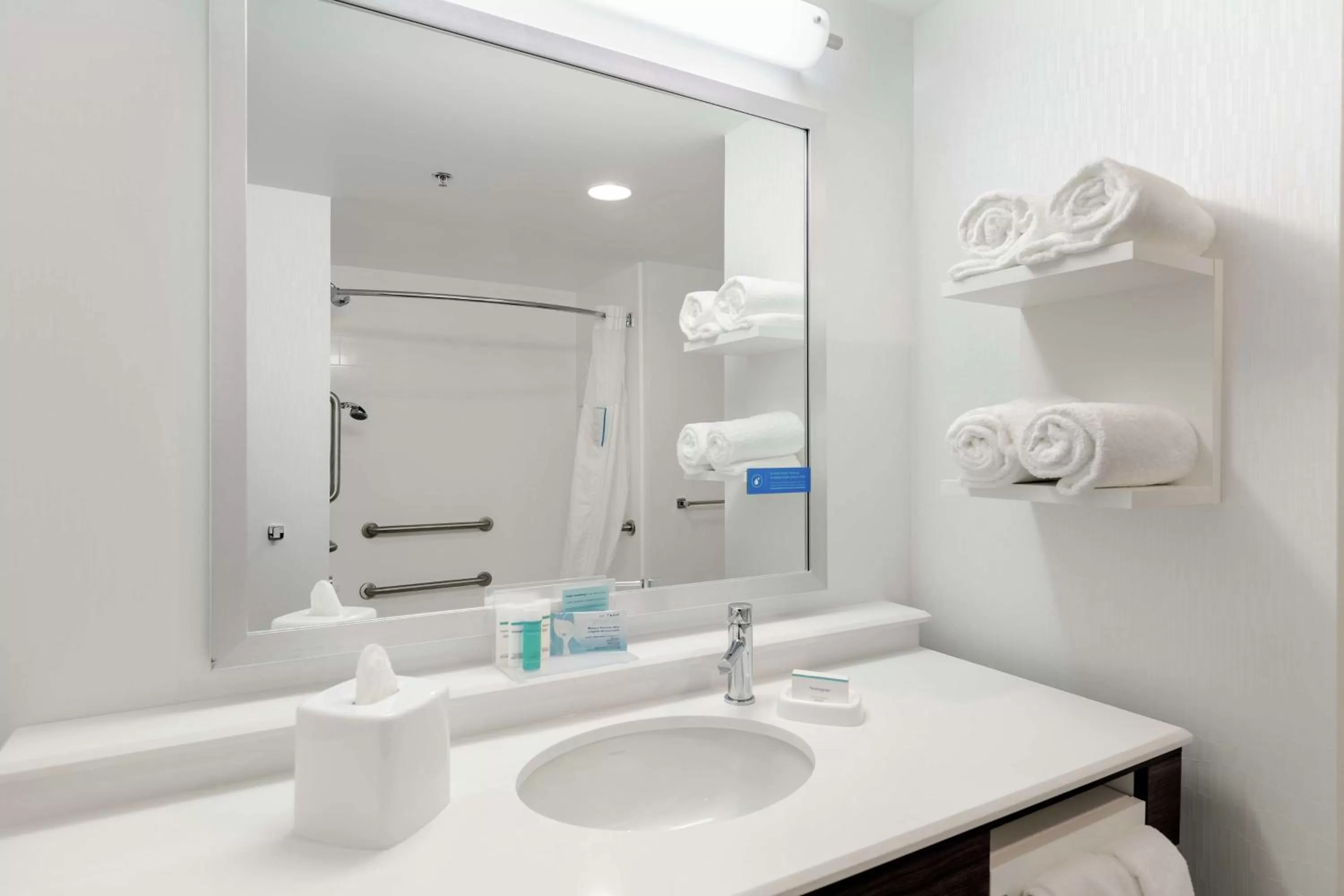 Bathroom in Hampton Inn Acworth