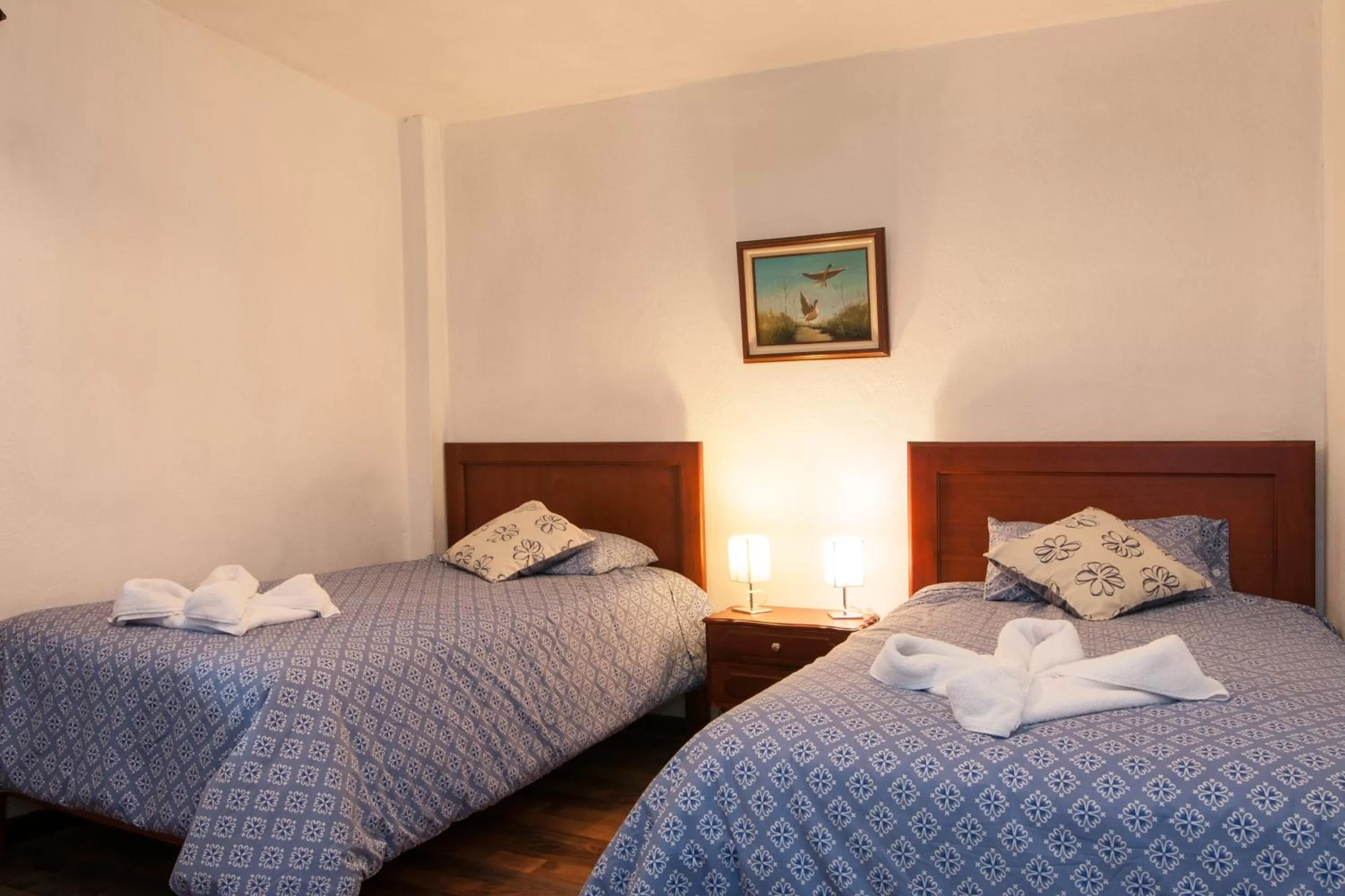 Apartment 1 Downtown Garden View in Apartamentos Otorongo Cuenca Ecuador