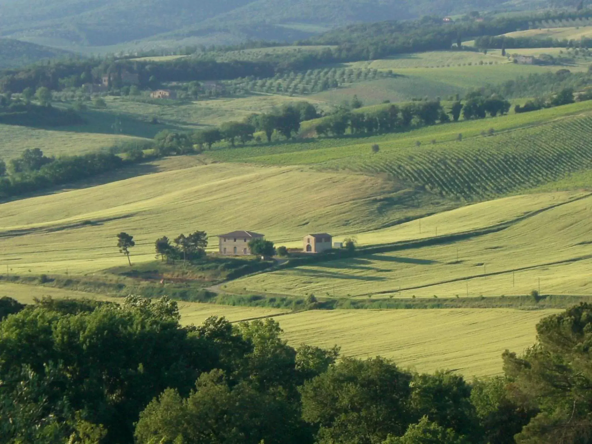 View (from property/room), Bird's-eye View in Country Residence Cipriano - La Torre alle Tolfe
