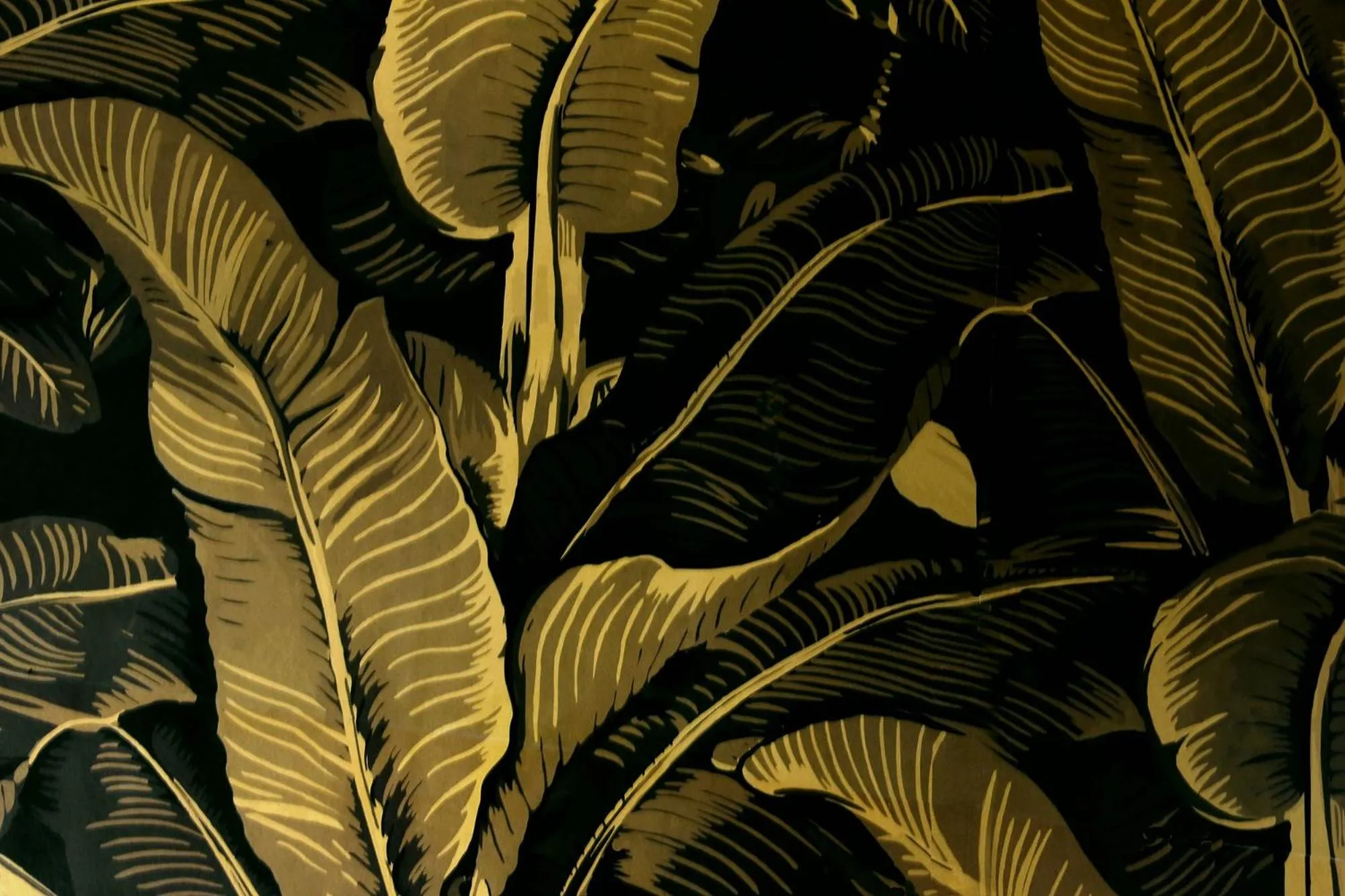 Lounge or bar in The Southern Belle