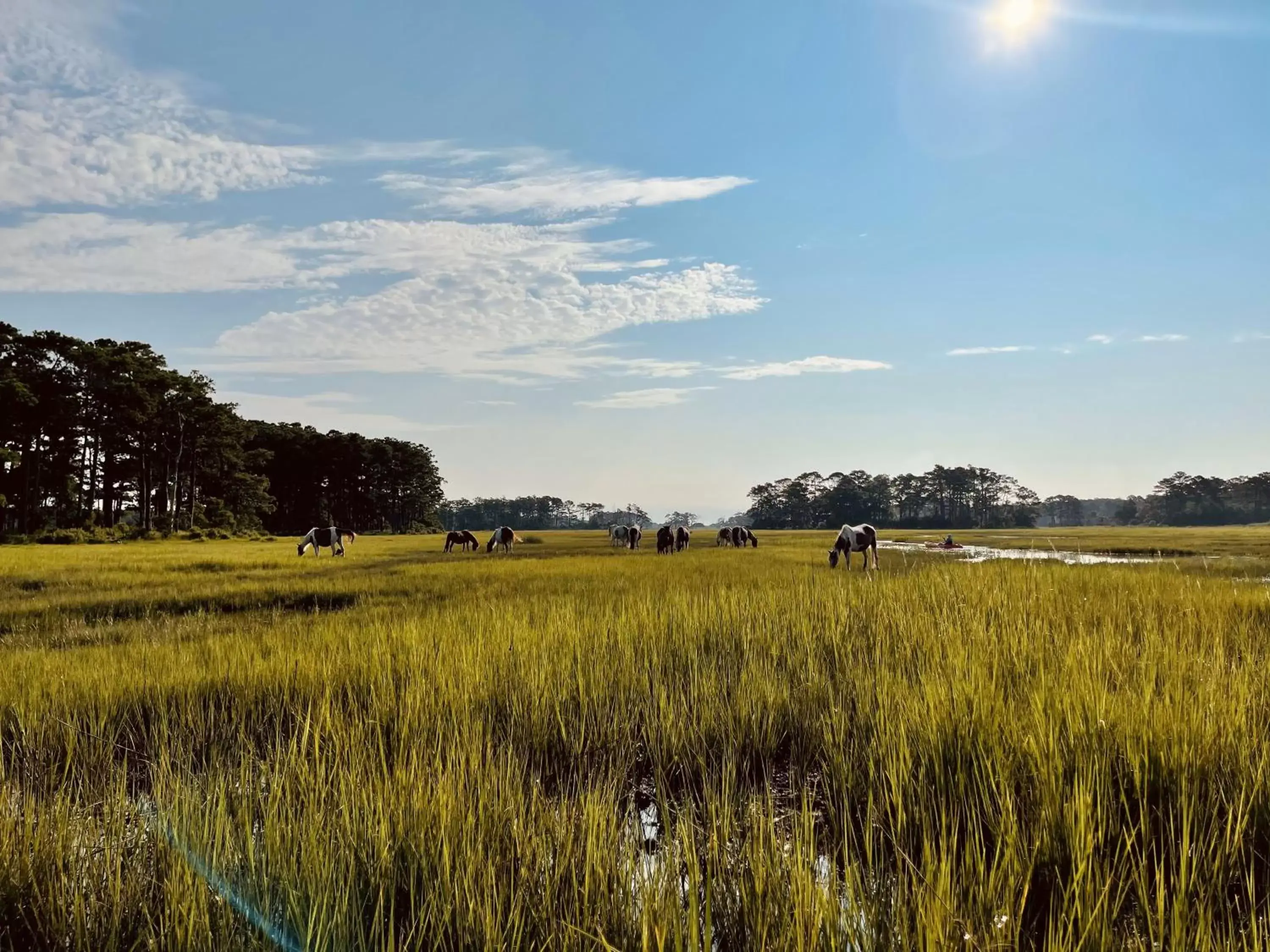 Nearby landmark in Comfort Suites Chincoteague Island Bayfront Resort