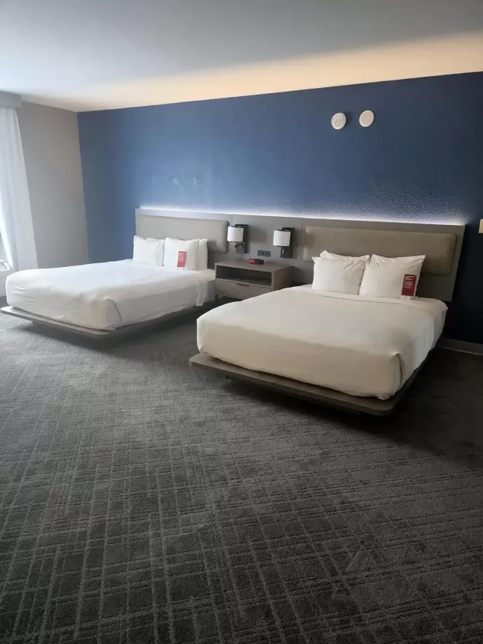 Bedroom, Bed in Comfort Suites Columbia Northeast - Fort Jackson