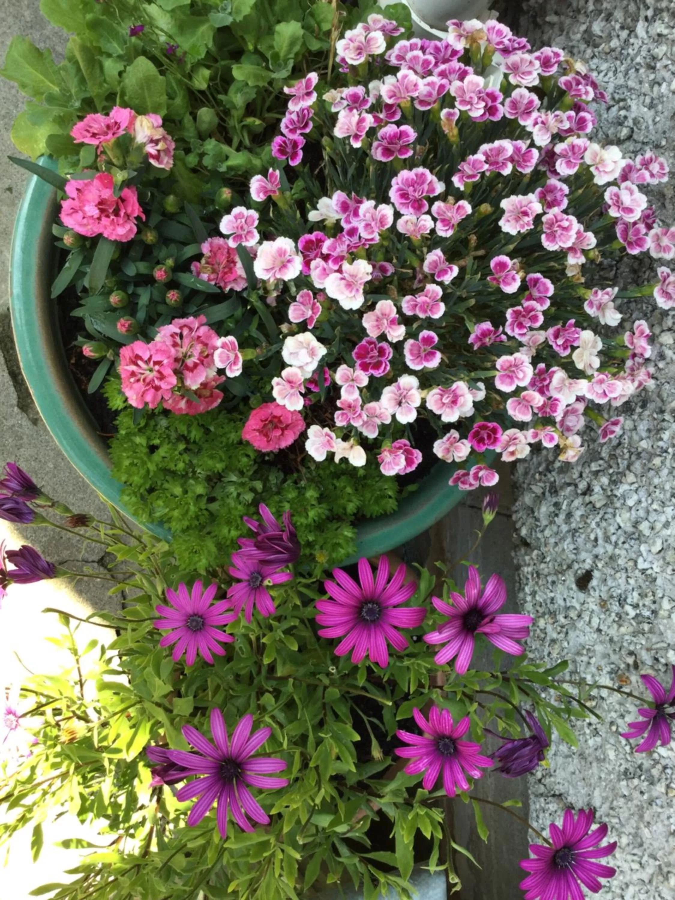 Facade/entrance in Penwyn Bed and Breakfast
