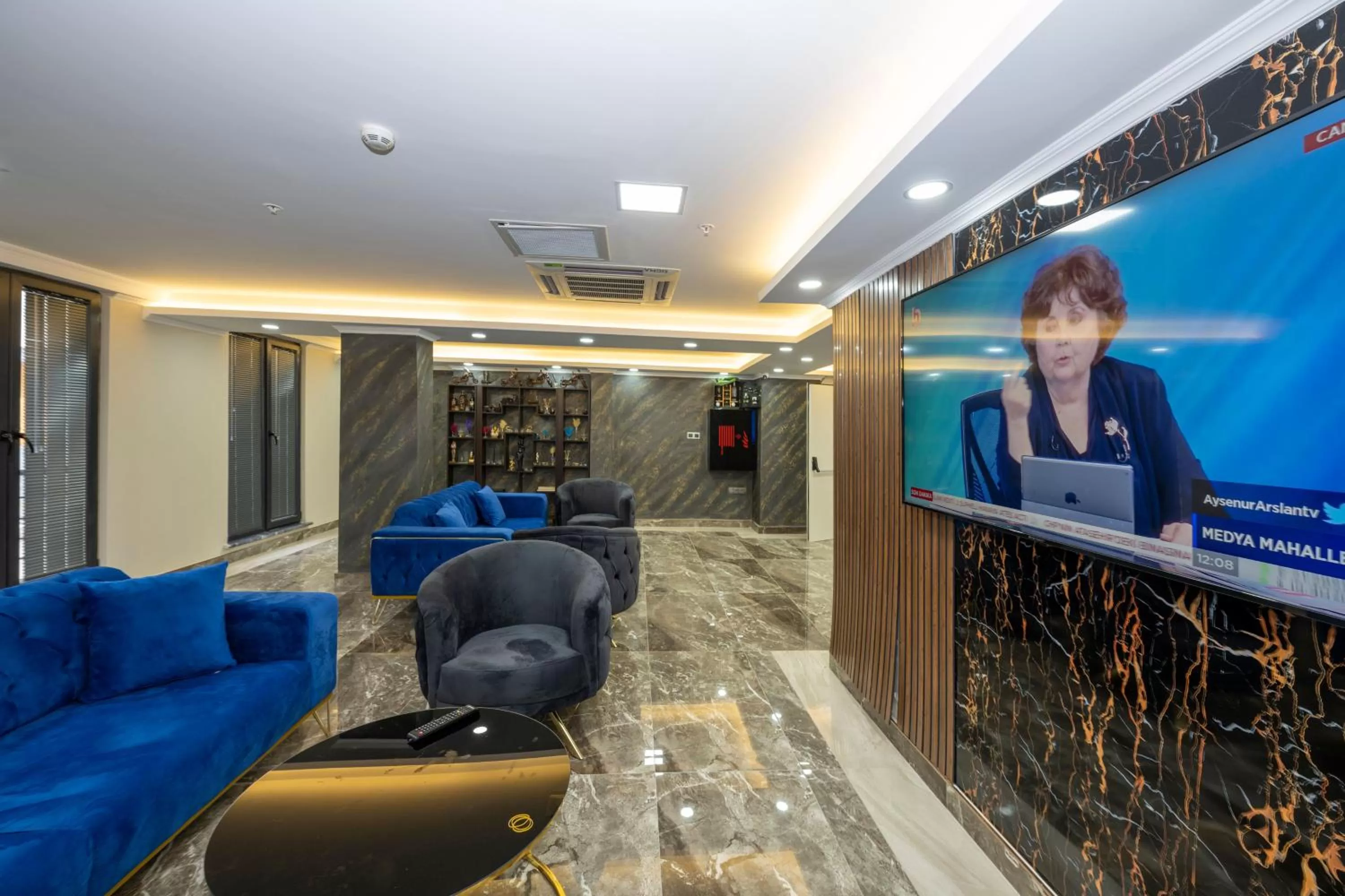 Communal lounge/ TV room in SKYSTAR DELUXE HOTEL
