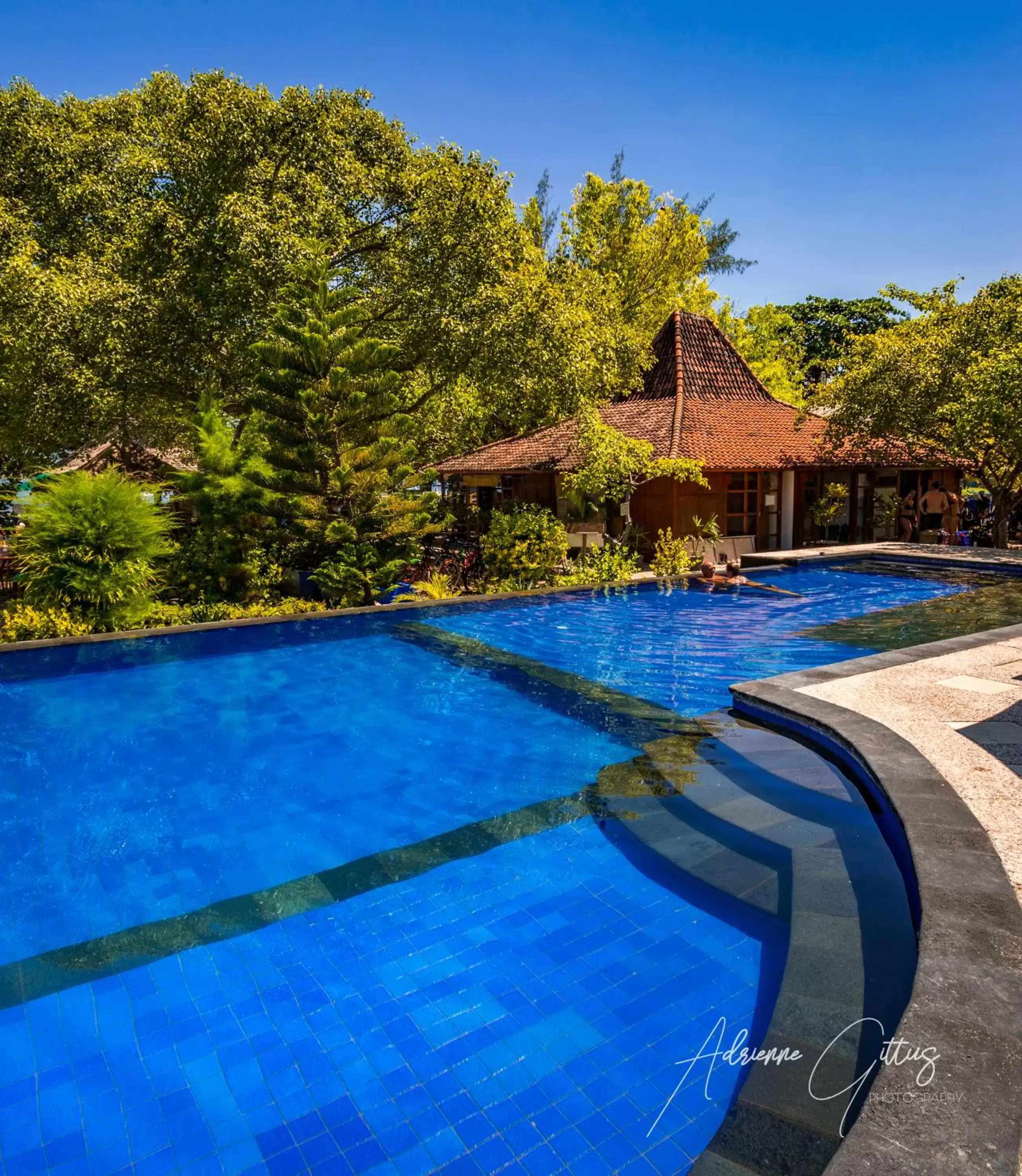 Swimming pool in Oceans 5 Dive Resort Swimming pool in Oceans 5 Dive Resort