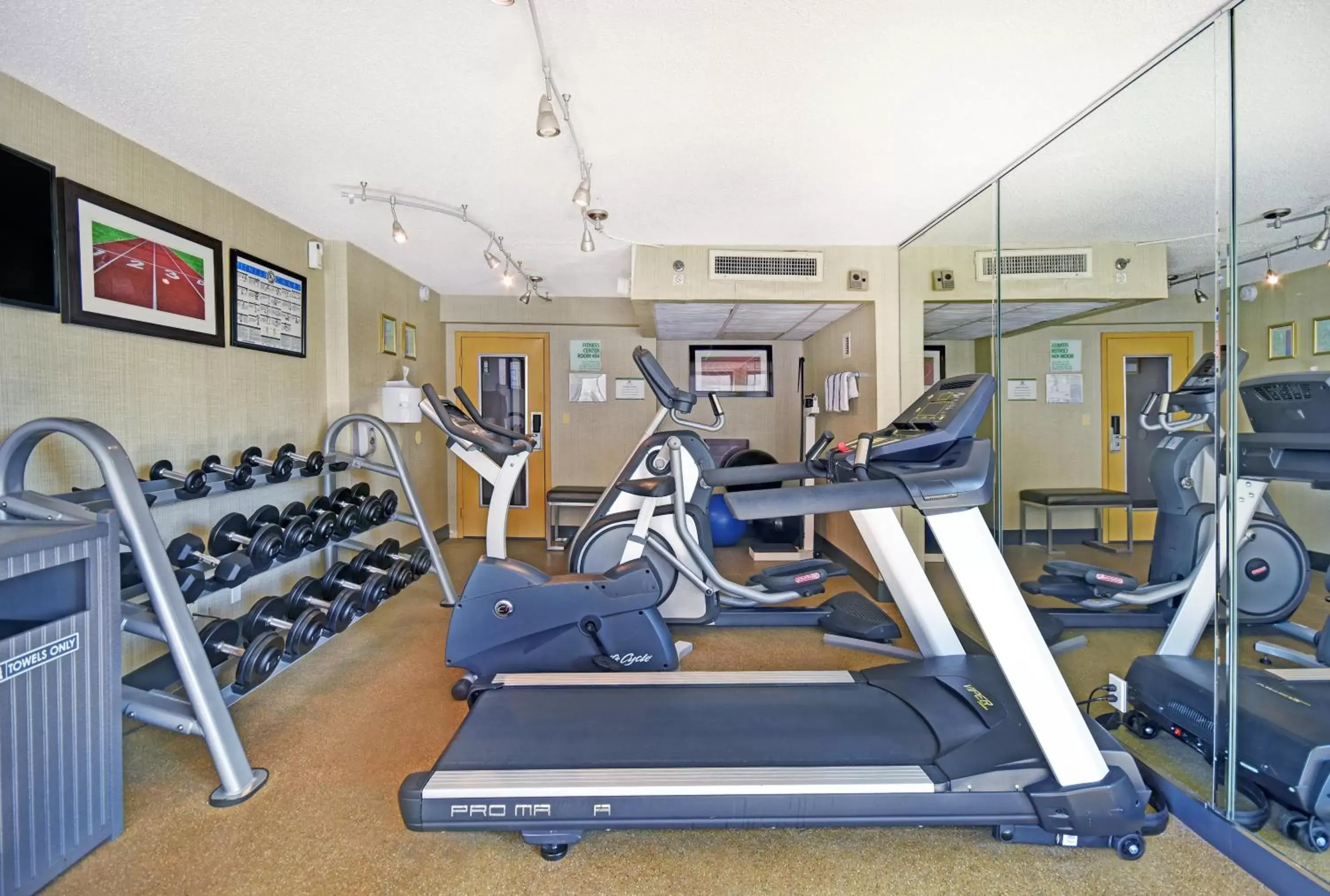 Spa and wellness centre/facilities, Fitness Center/Facilities in Holiday Inn - Memphis Downtown - Beale St., an IHG Hotel