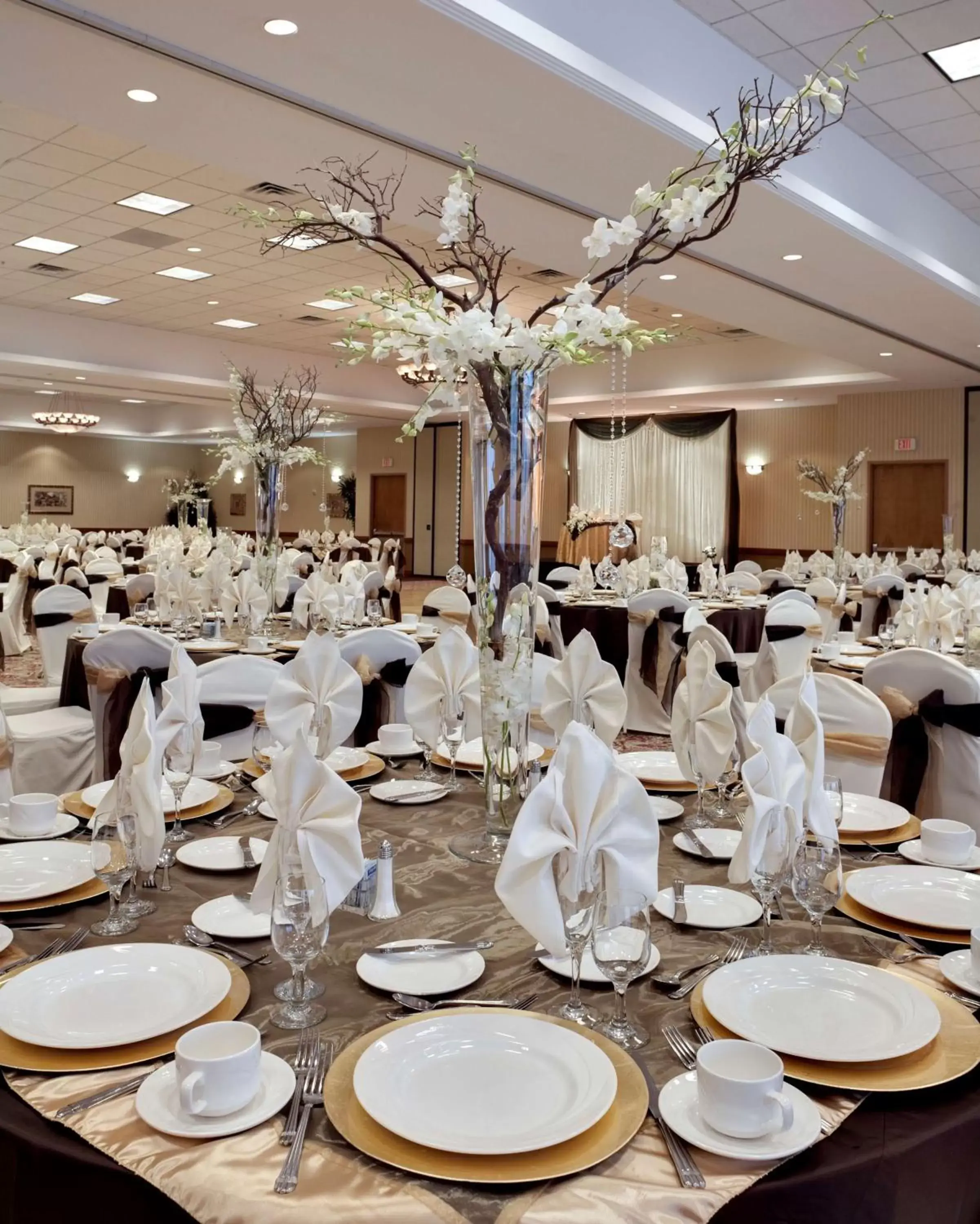 Meeting/conference room, Banquet Facilities in Embassy Suites by Hilton Anaheim South