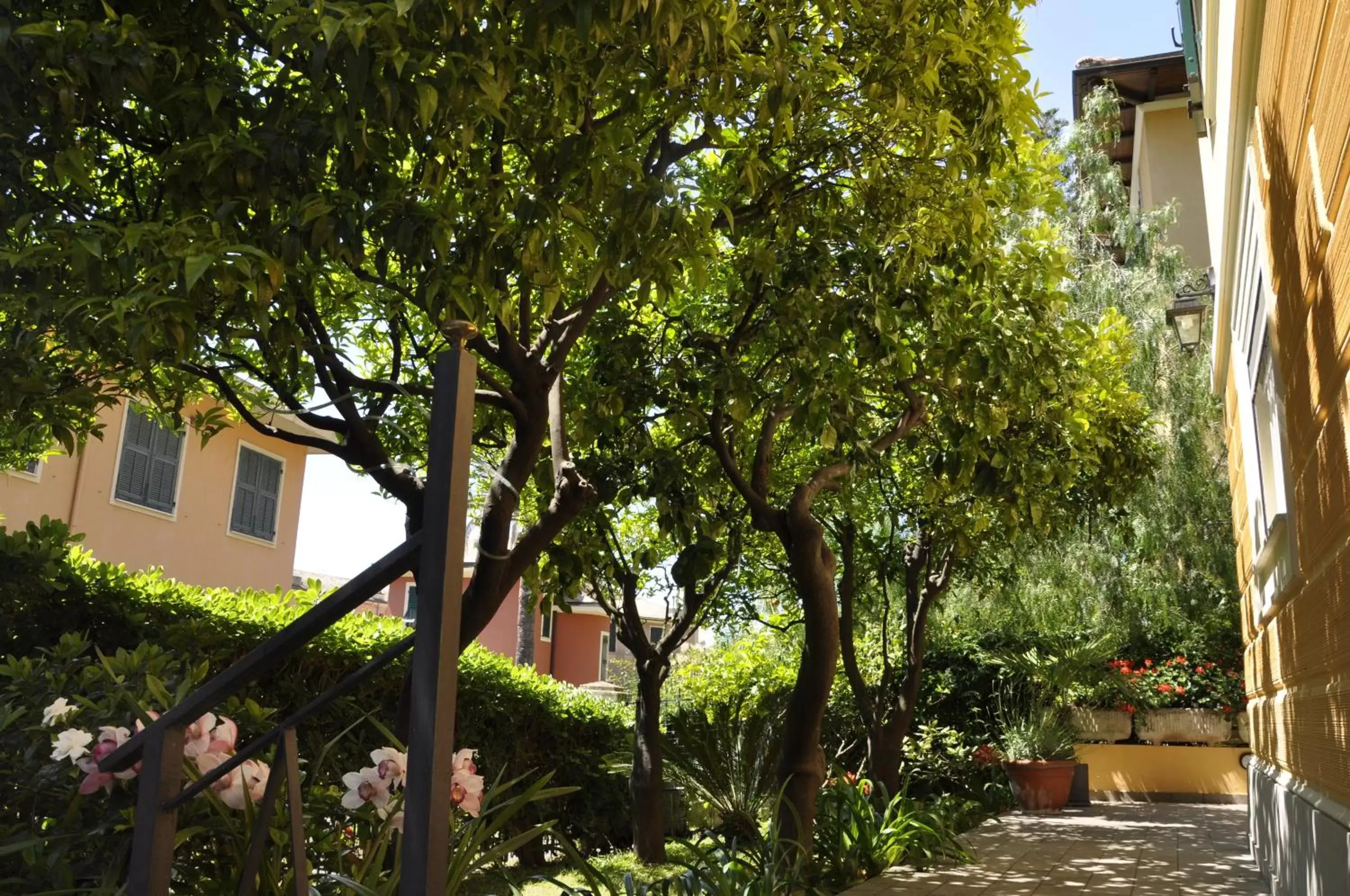 Garden, Property Building in Locanda Villa Moderna
