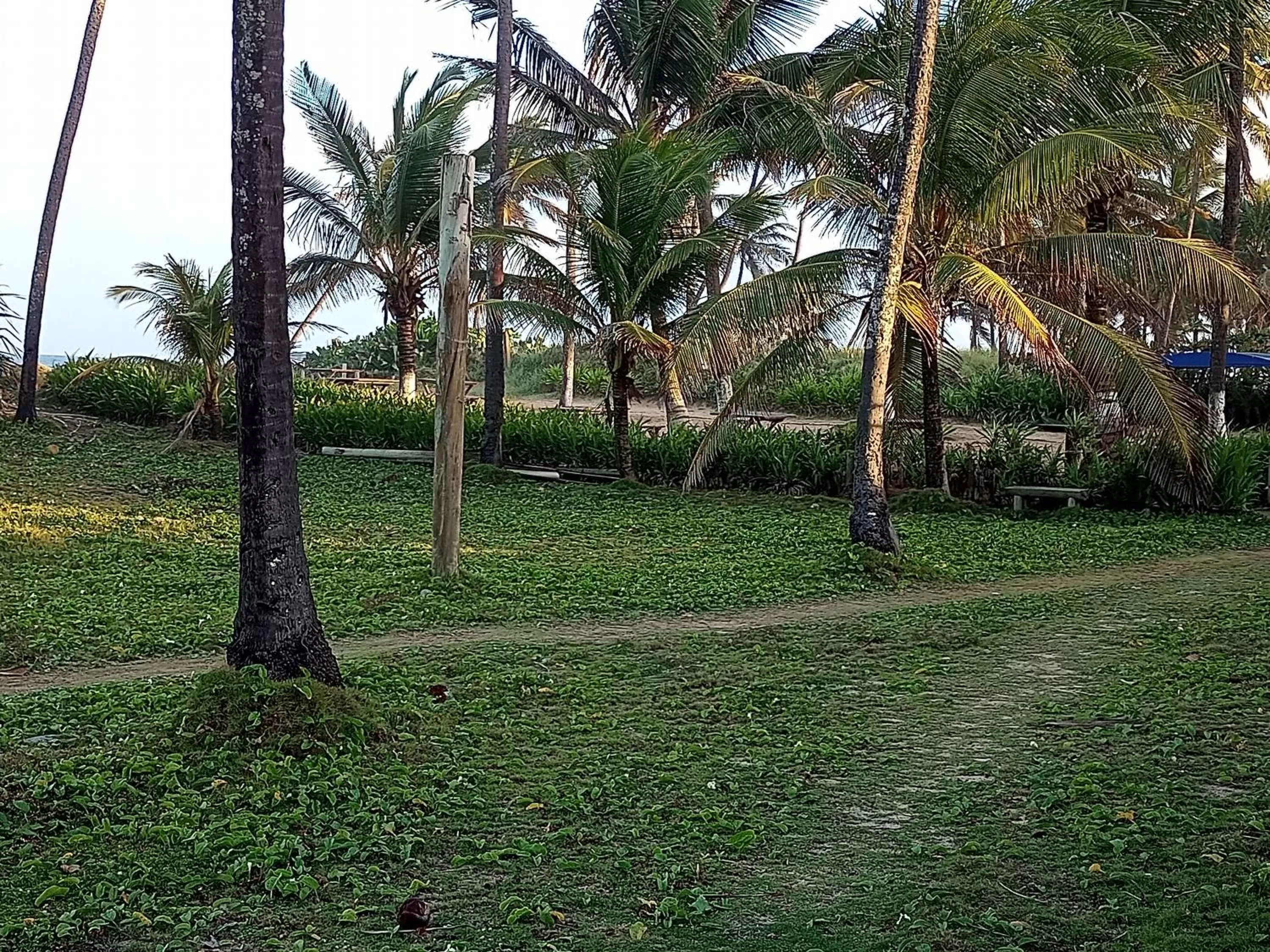 Natural landscape, Garden in Pousada Villa Encantada LGBTQIAPlus