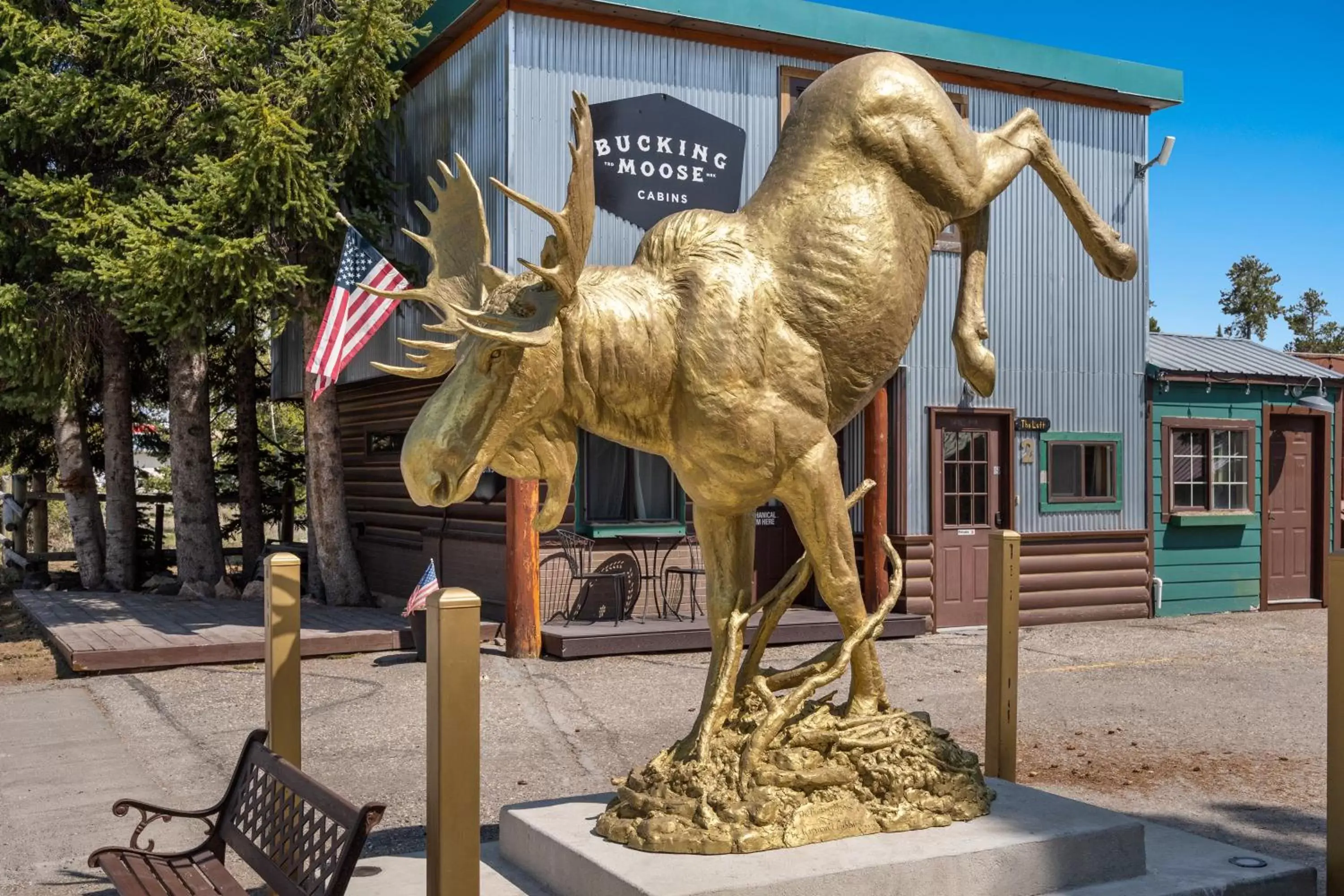 Property building, Other Animals in The Bucking Moose