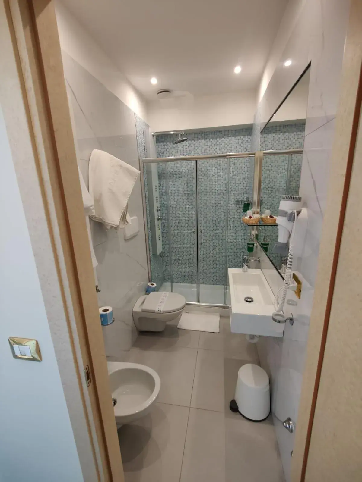 Shower, Bathroom in Hotel Ambassador