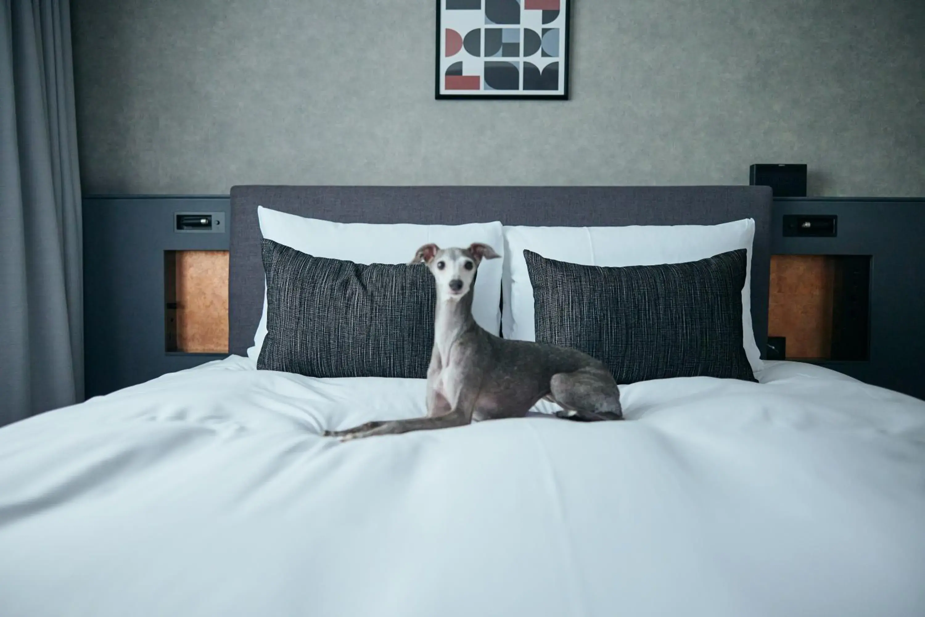 Pets, Bed in NOHGA HOTEL KIYOMIZU KYOTO