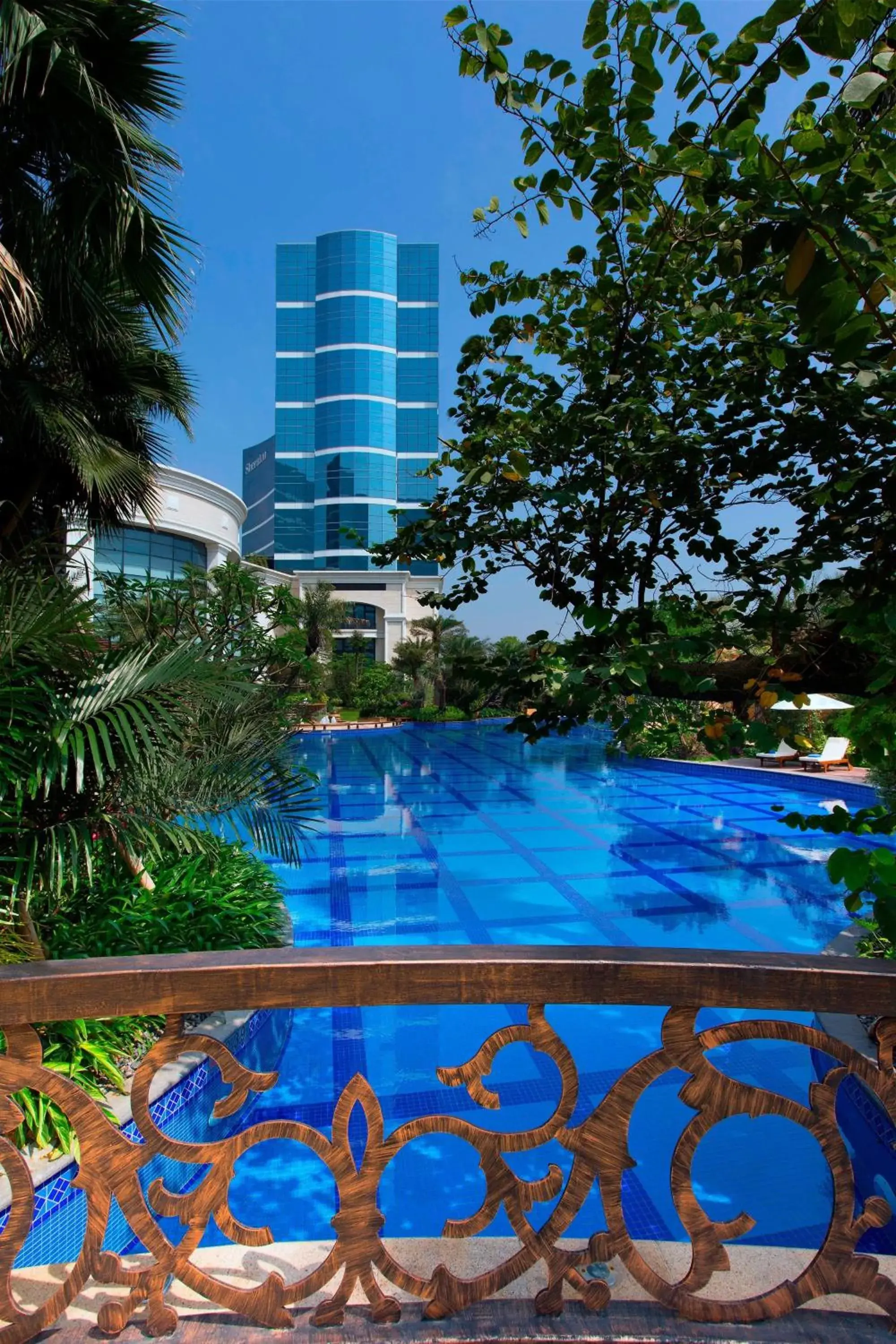 Area and facilities, Swimming Pool in Sheraton Fuzhou Hotel