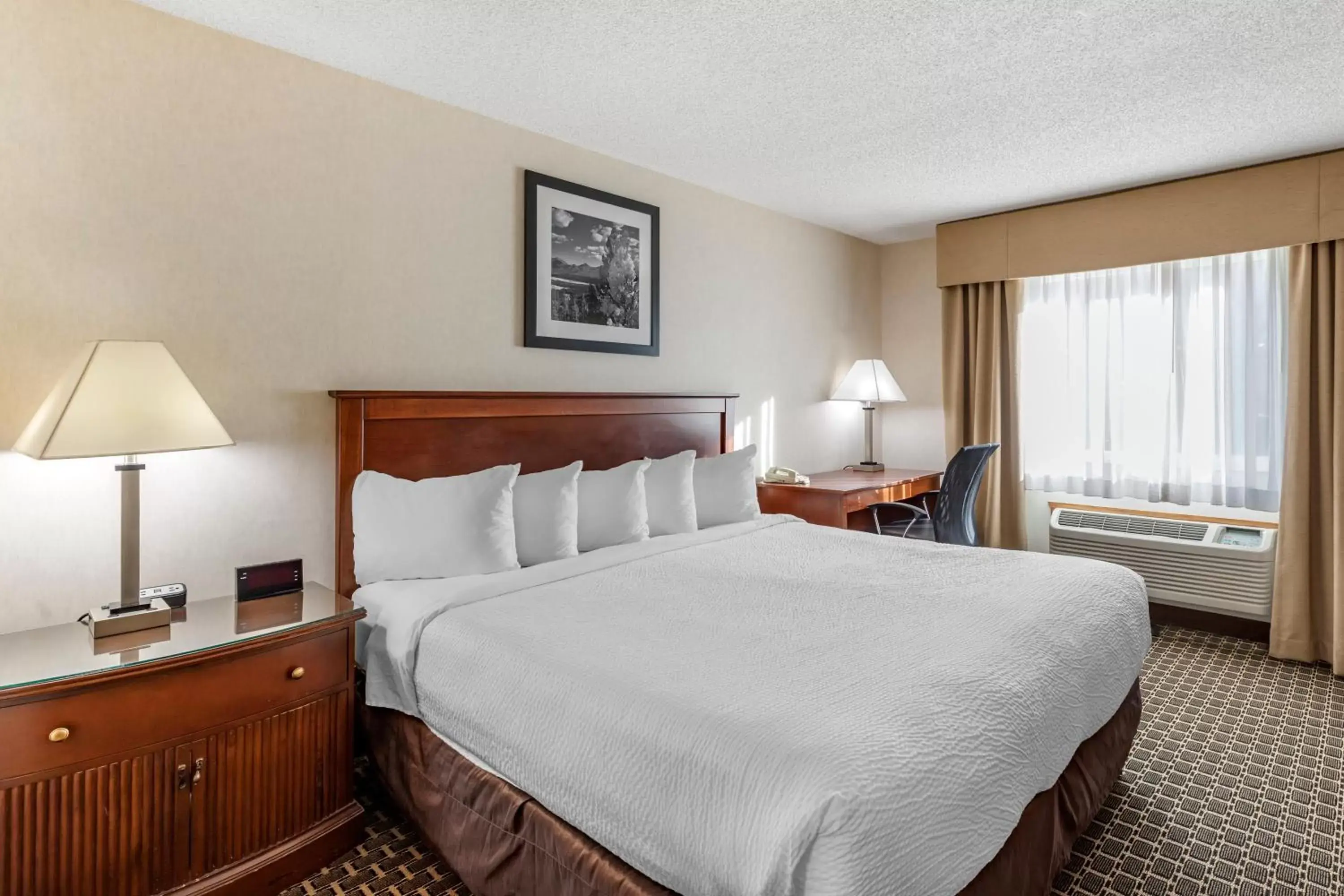 King Room - Non-Smoking in Quality Inn & Suites Steamboat Springs