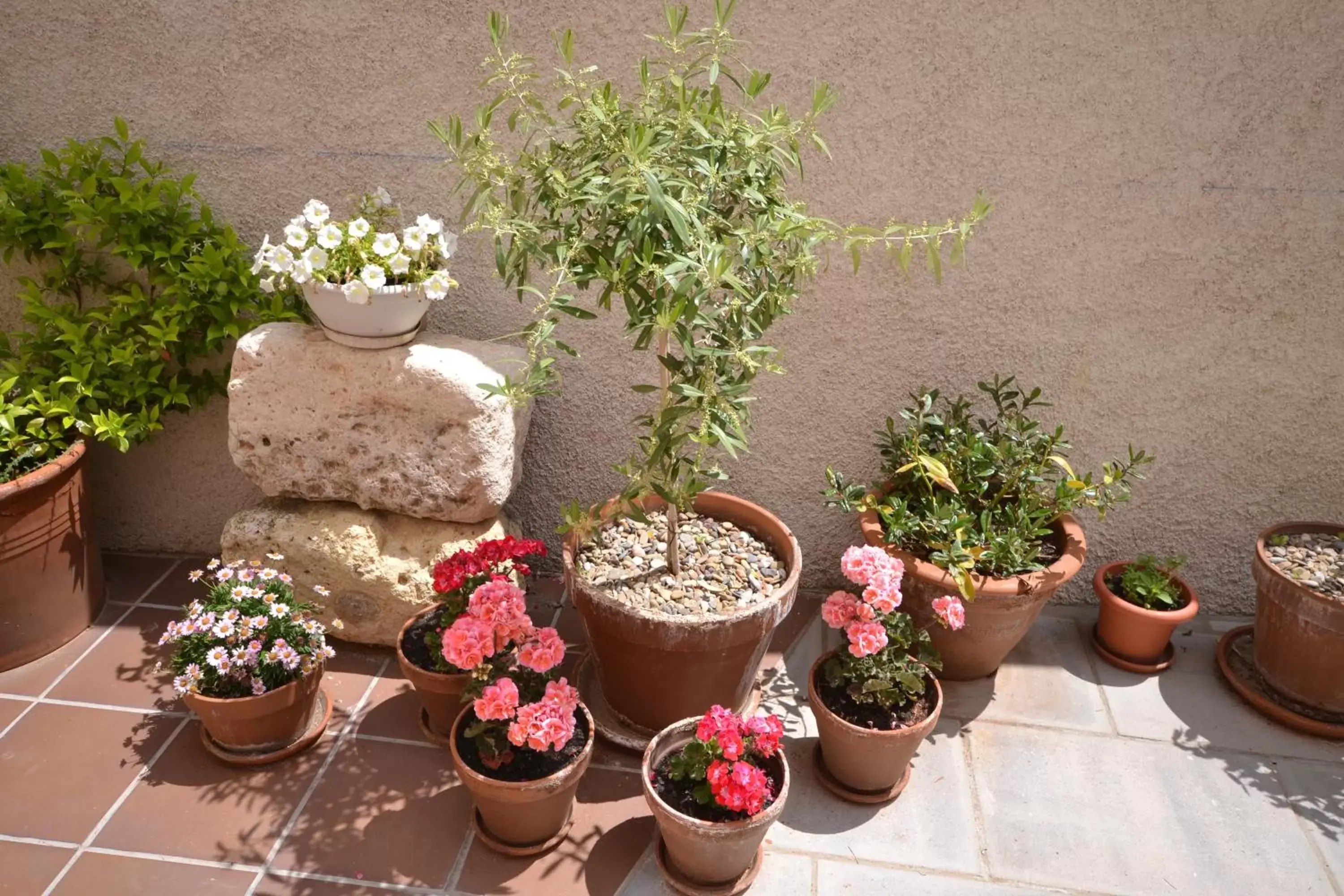 Patio in La Casa de las Aldeas