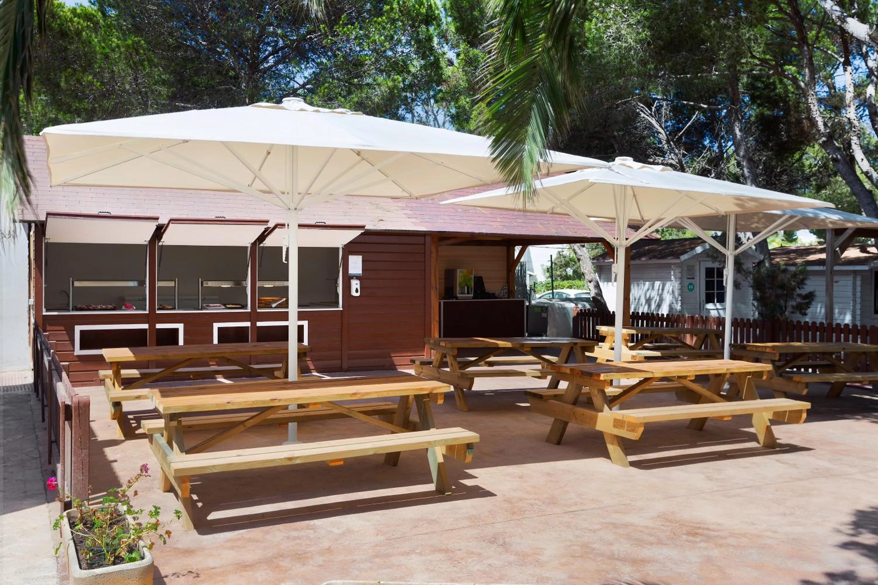 Lounge or bar in Alua Suites Las Rocas