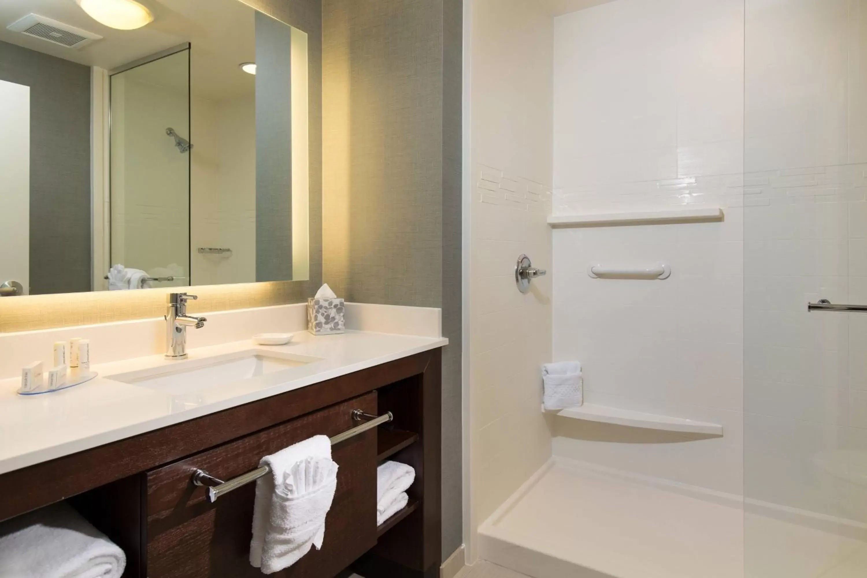 Bathroom in Residence Inn by Marriott Las Vegas Airport