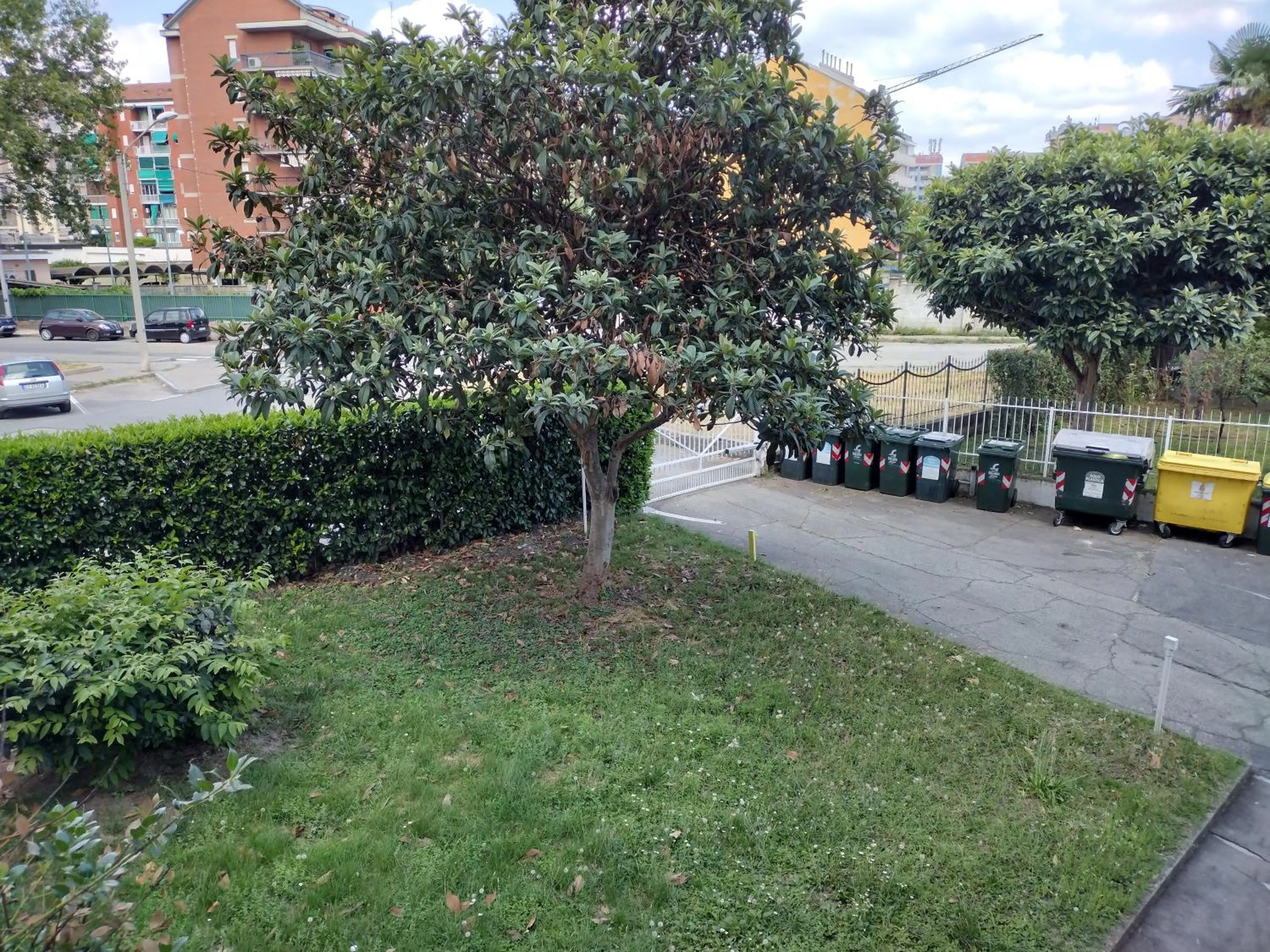 Garden in Albergo Guido Reni