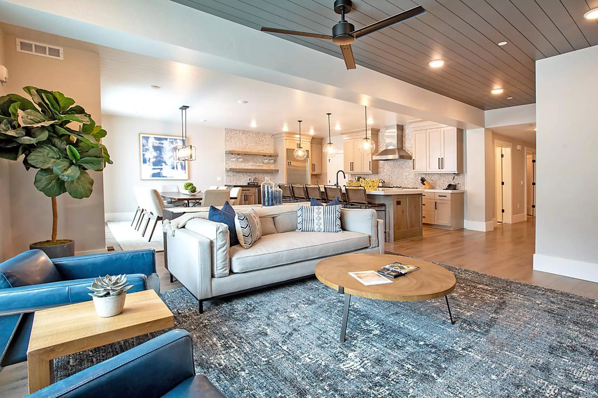 Kitchen or kitchenette in Black Rock Mountain Resort