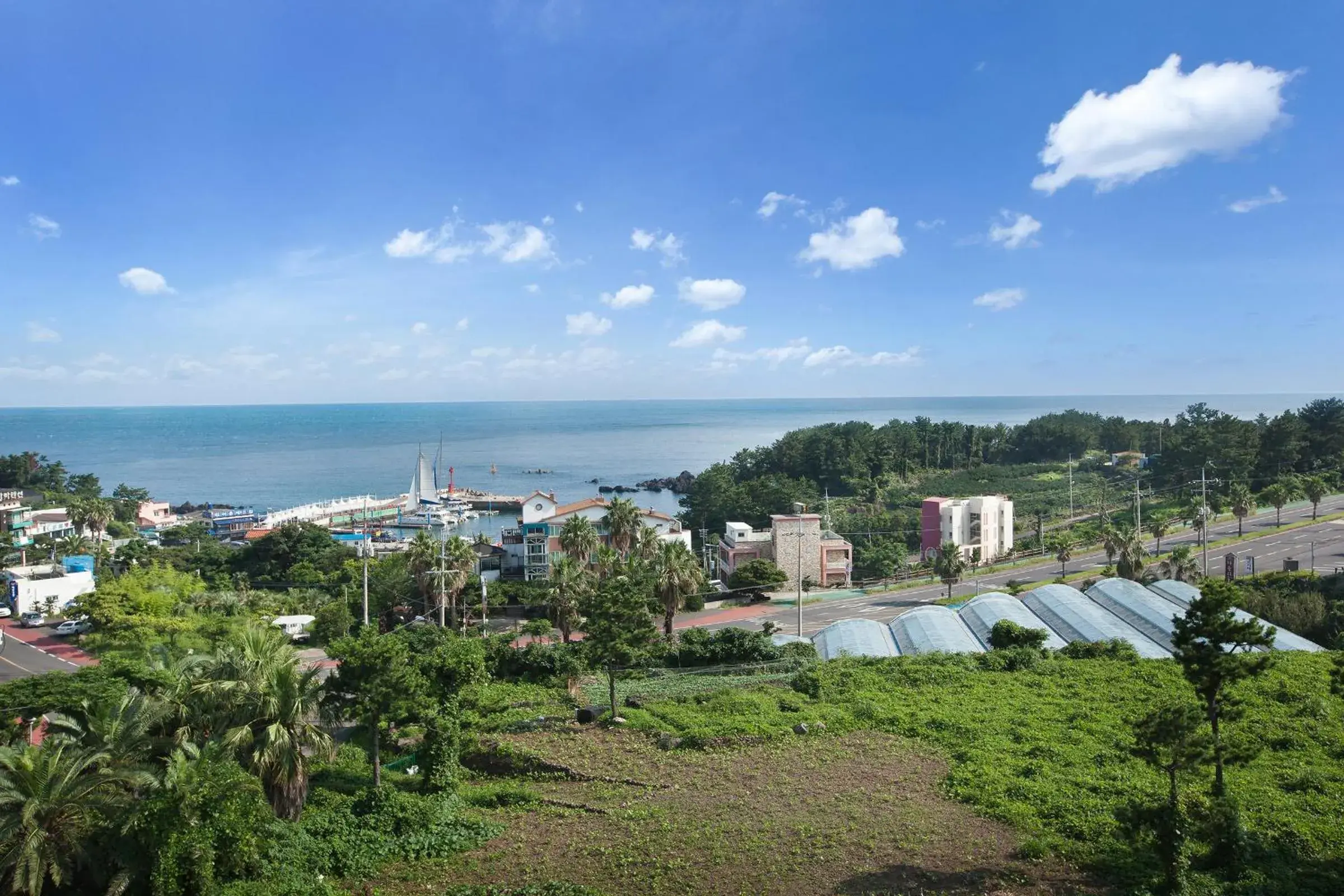 View (from property/room) in Familia Hotel Jeju