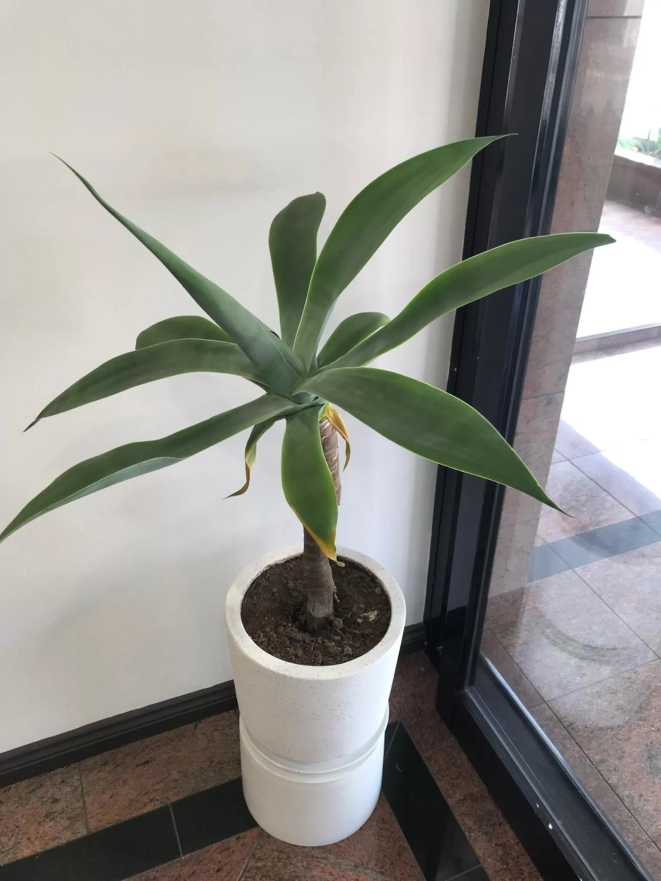 Edgecliff Lodge Motel