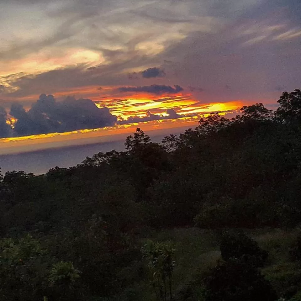 Natural landscape in Hale Hualalai