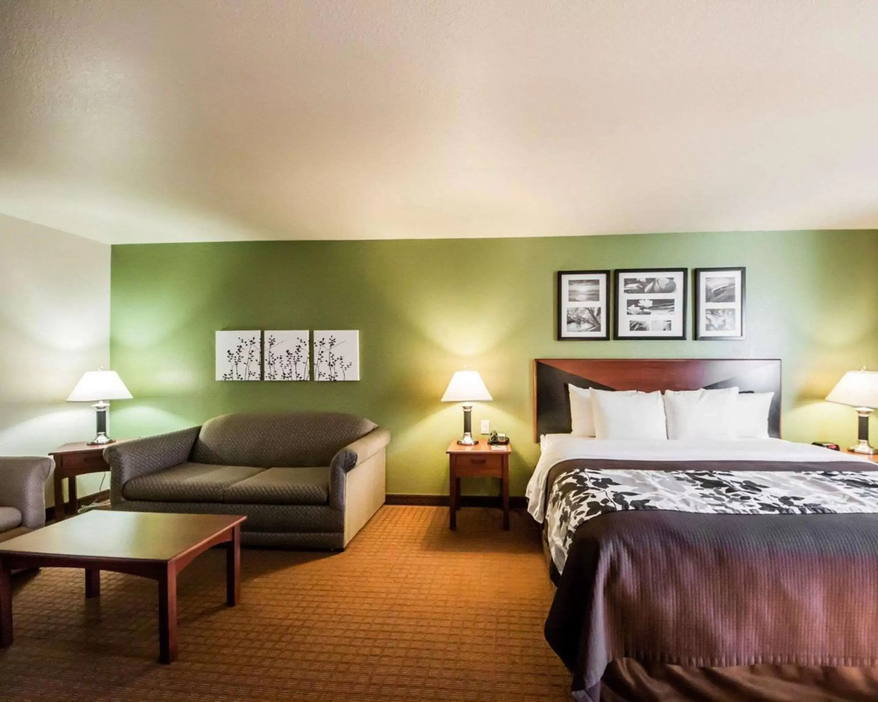 Photo of the whole room, Bed in Sleep Inn and Suites Shamrock