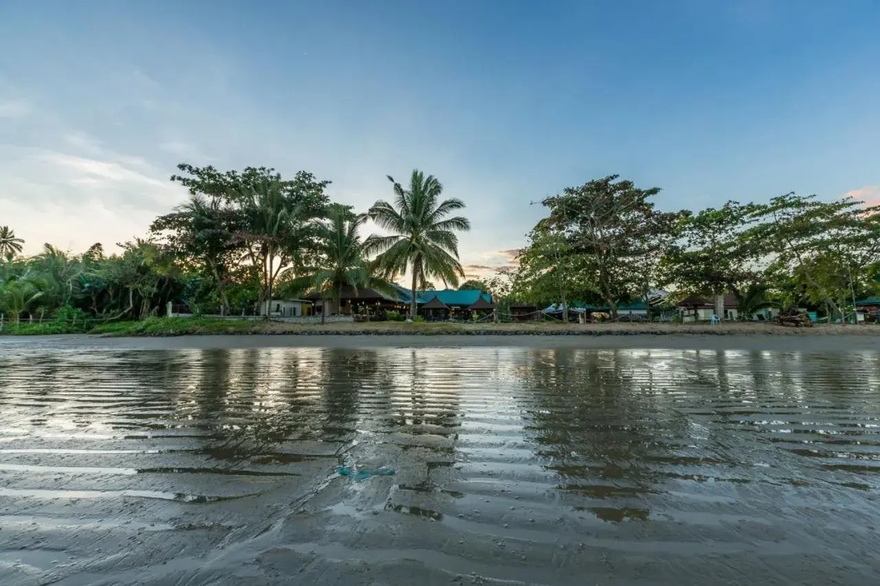 Beach in Beringgis Beach Resort & Spa