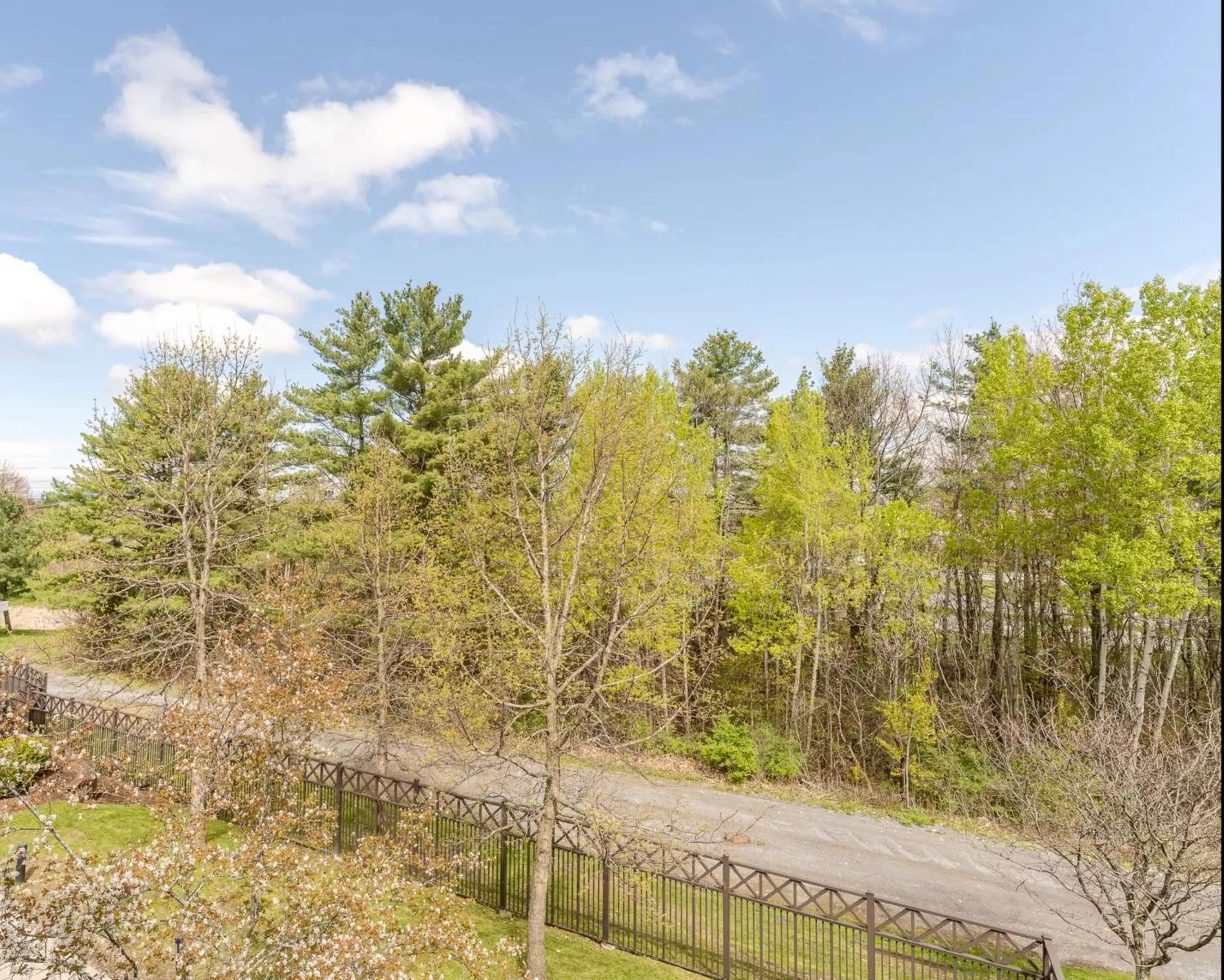Garden view in Courtyard Burlington Williston