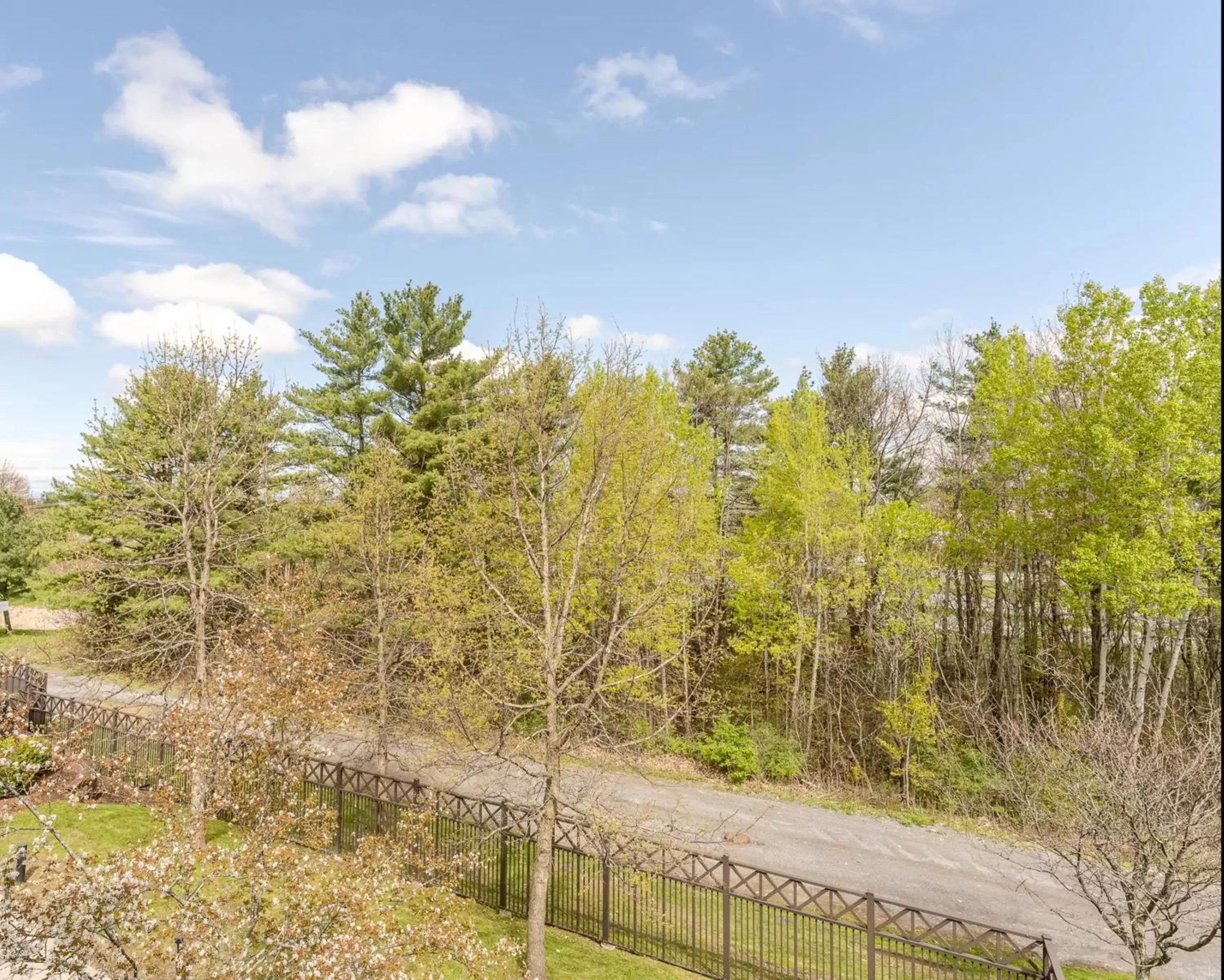 Garden view, Natural Landscape in Courtyard Burlington Williston