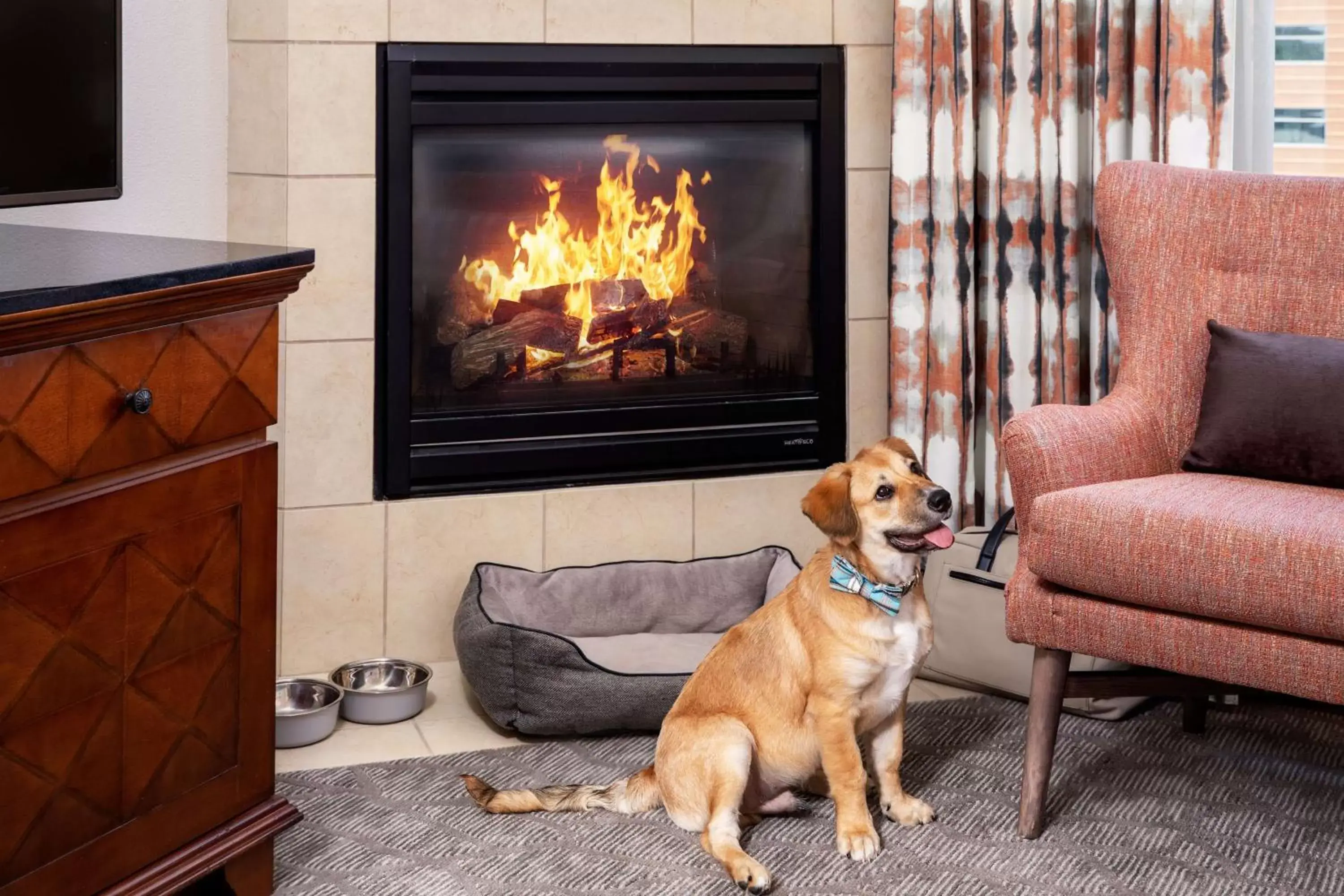 Living room, Pets in Homewood Suites by Hilton Rockville- Gaithersburg