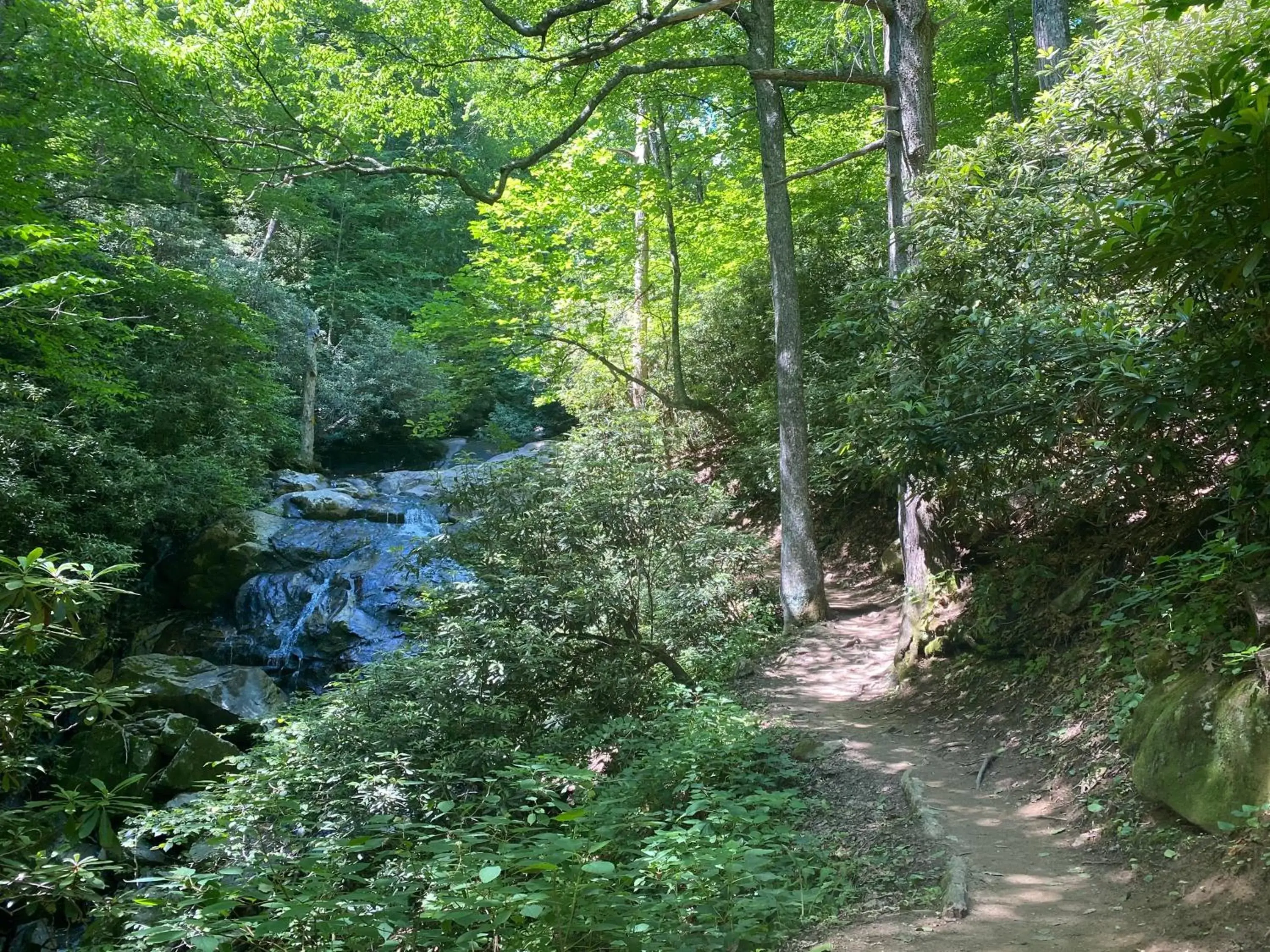 Natural Landscape in Meadowbrook Inn