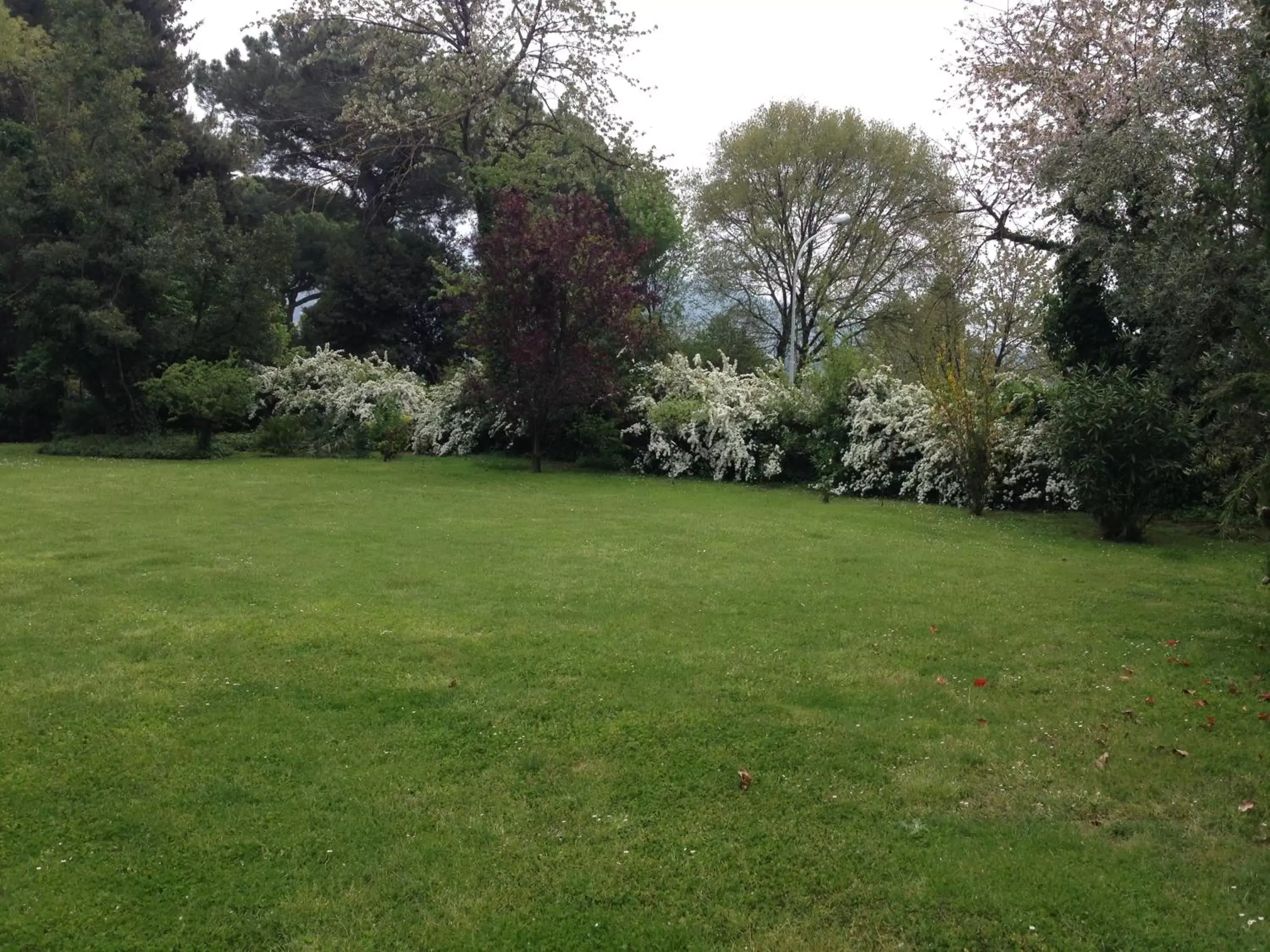 Garden in Villa Abbamer