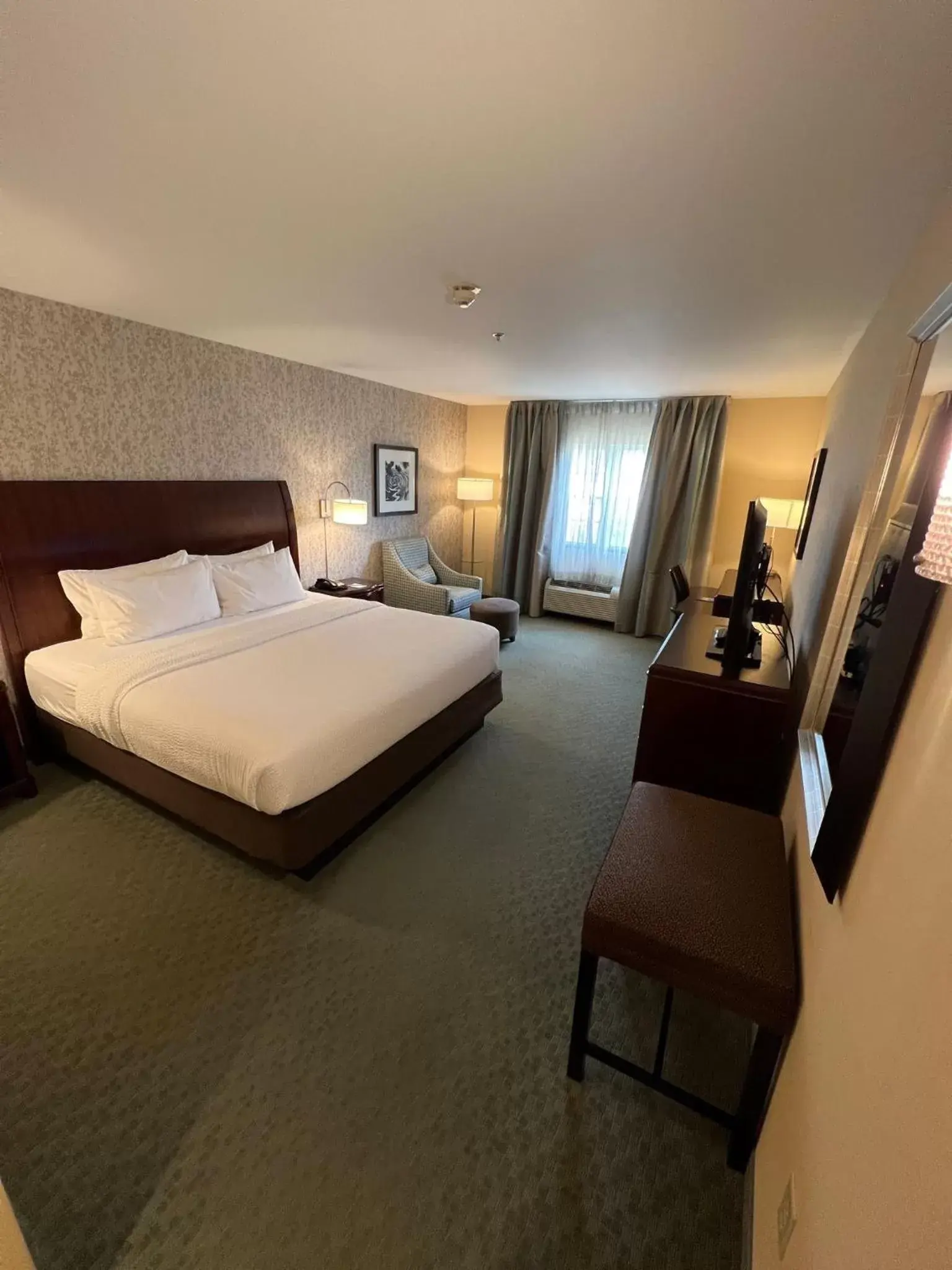 Bed in Fairfield Inn & Suites by Marriott Great Barrington Lenox/Berkshires