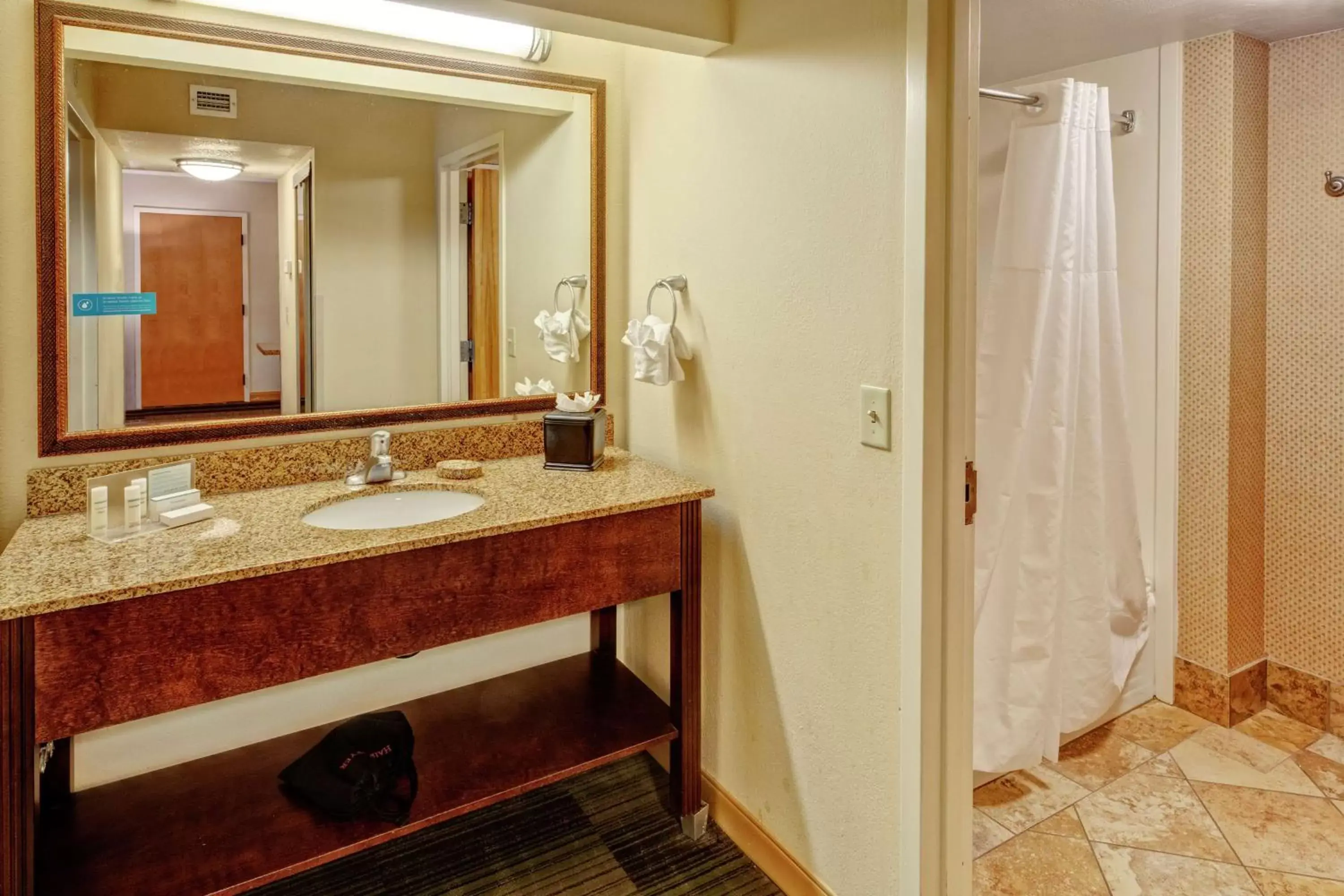 Bathroom in Hampton Inn & Suites Pigeon Forge On The Parkway