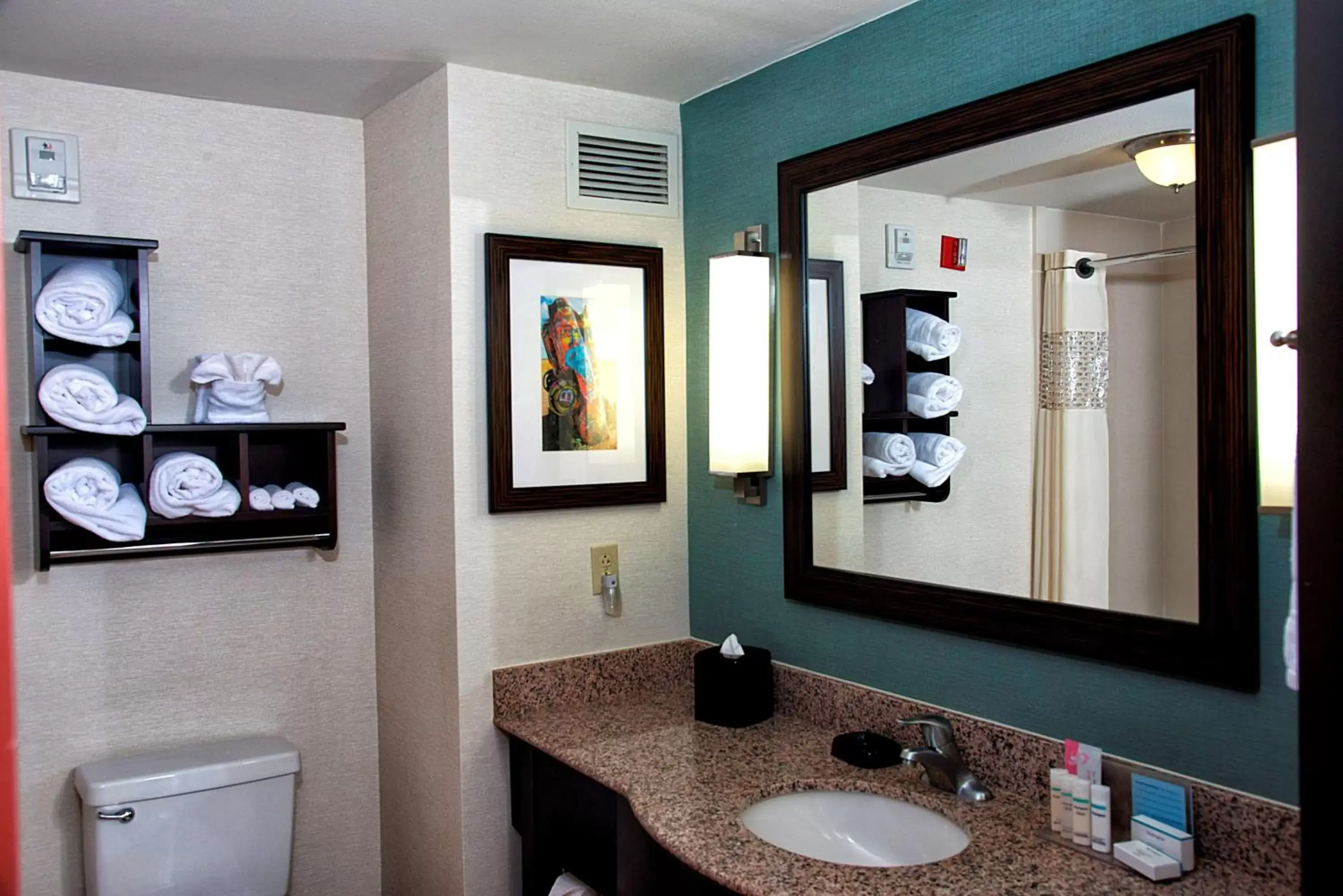 Bathroom in Hampton Inn and Suites Amarillo West