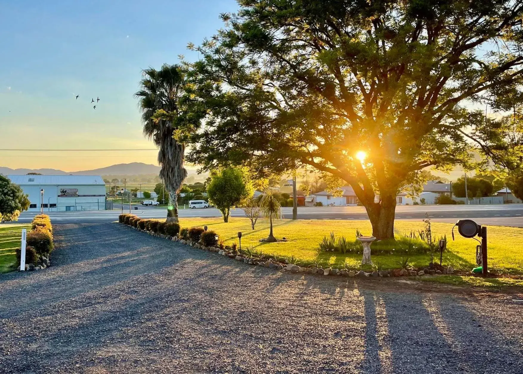 Garden, Sunrise/Sunset in Quirindi Sunflower Motor Inn