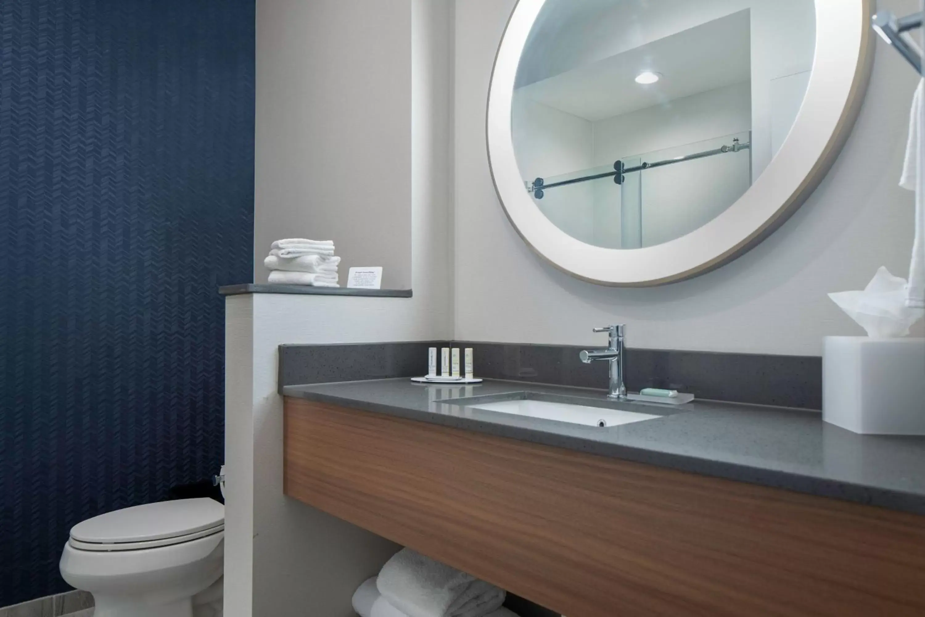Bathroom in Fairfield by Marriott Inn & Suites Dallas McKinney