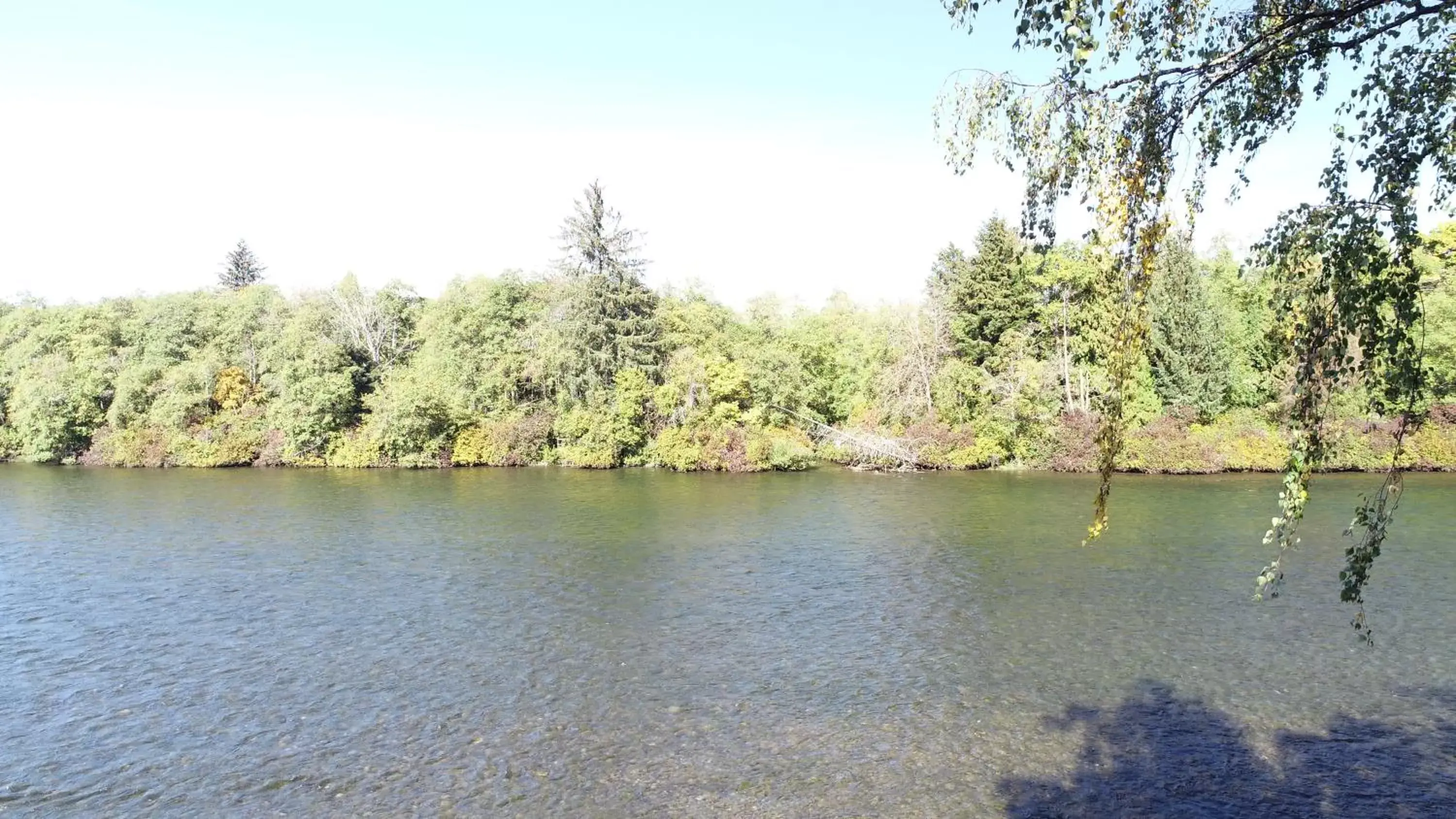 View (from property/room) in Chateau Riverside