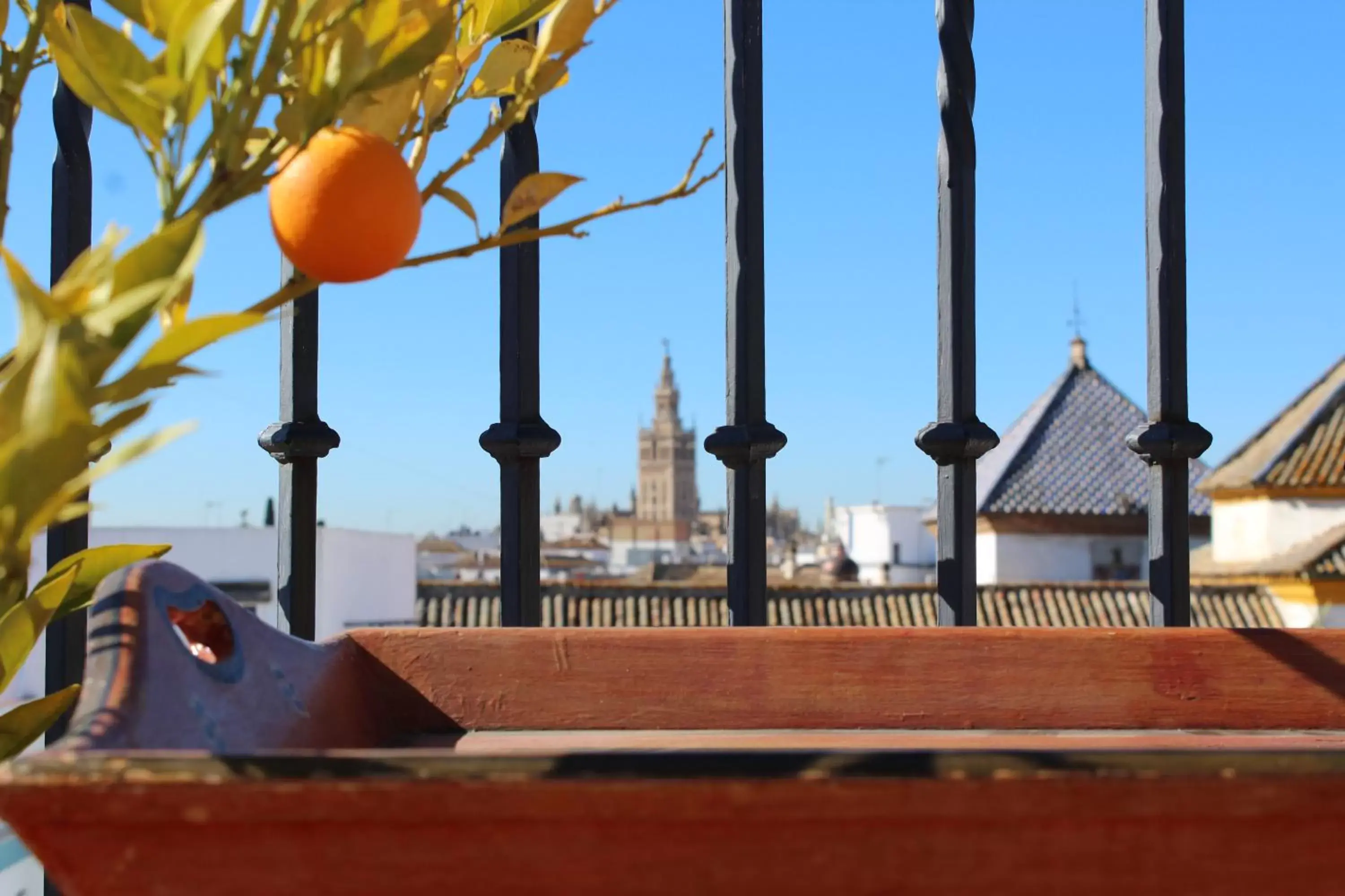 Balcony/Terrace in Hotel Casa Imperial