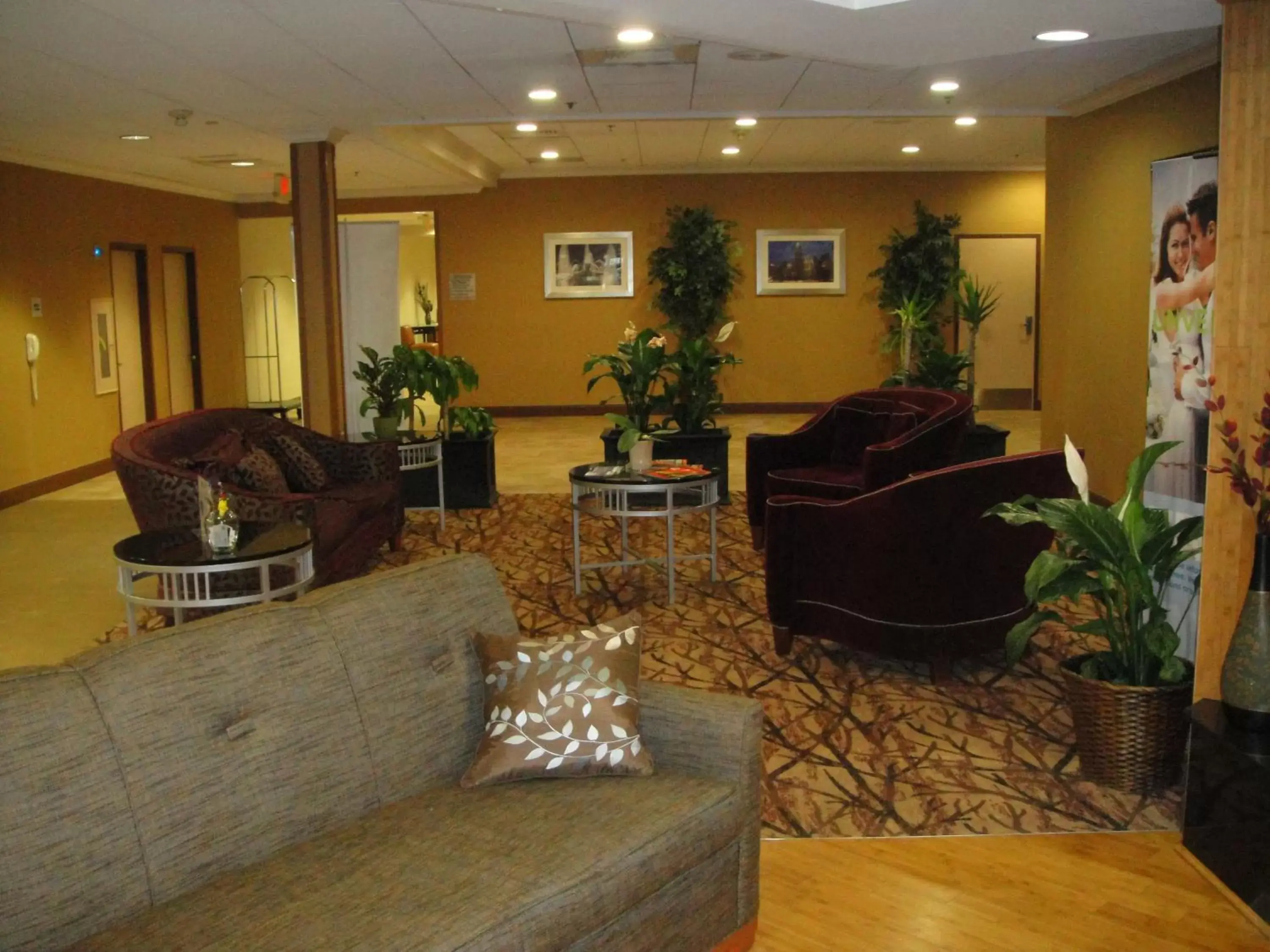 Lobby or reception, Lobby/Reception in Wyndham Garden Philadelphia Airport