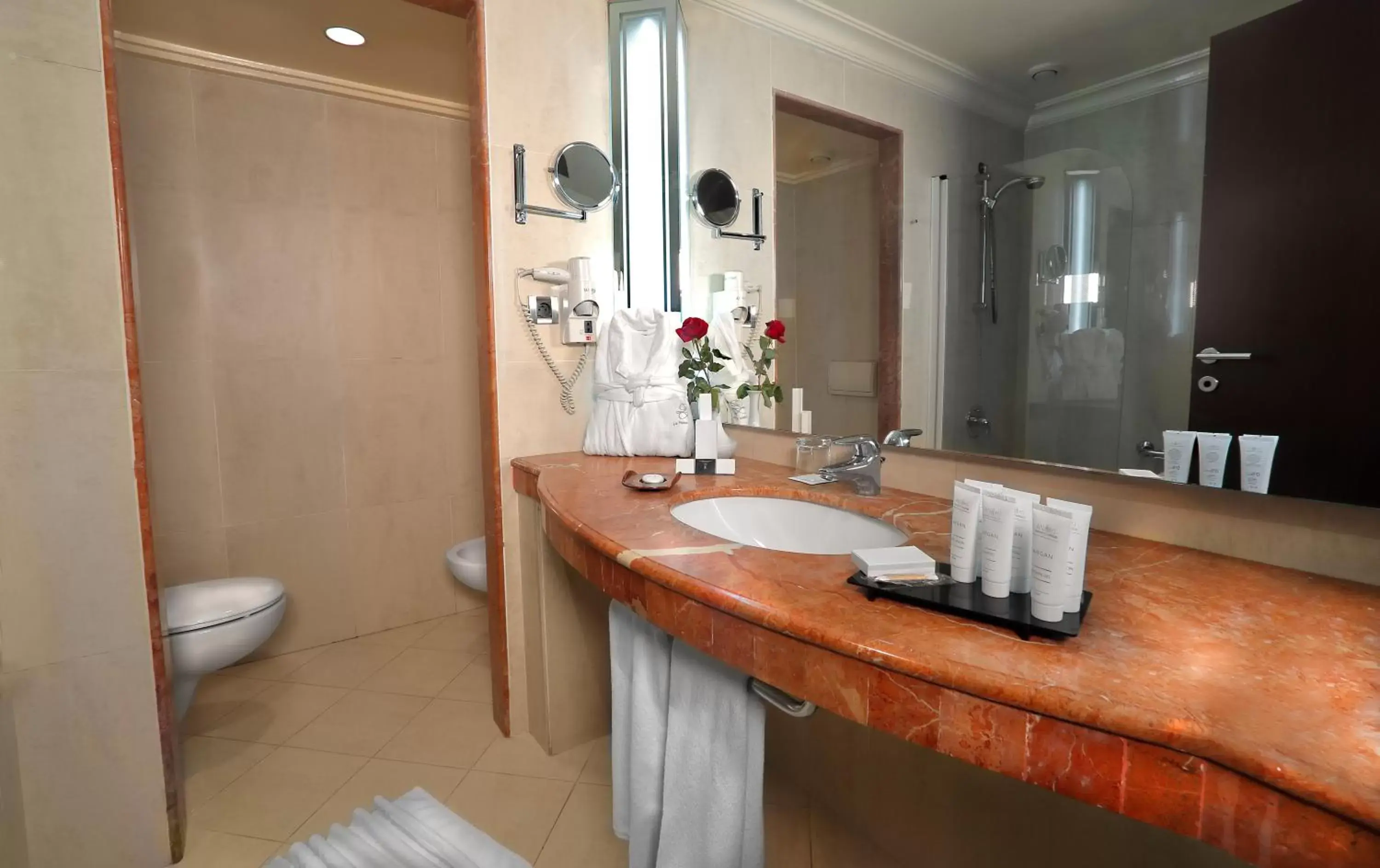 Bathroom in Le Palace d'Anfa