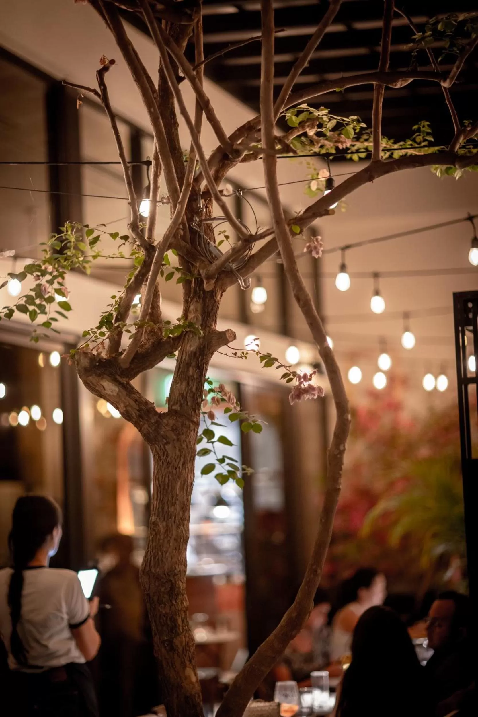 Facade/entrance in Upsun Hotel