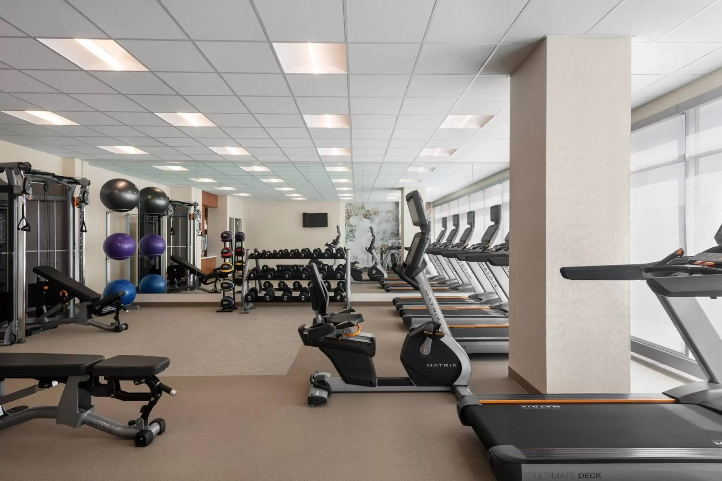 Fitness centre/facilities, Fitness Center/Facilities in SpringHill Suites by Marriott Milwaukee West/Wauwatosa