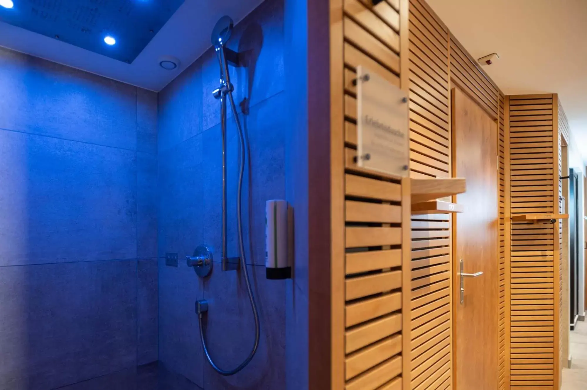 Spa and wellness centre/facilities, Bathroom in Hotel Caprice - Grindelwald