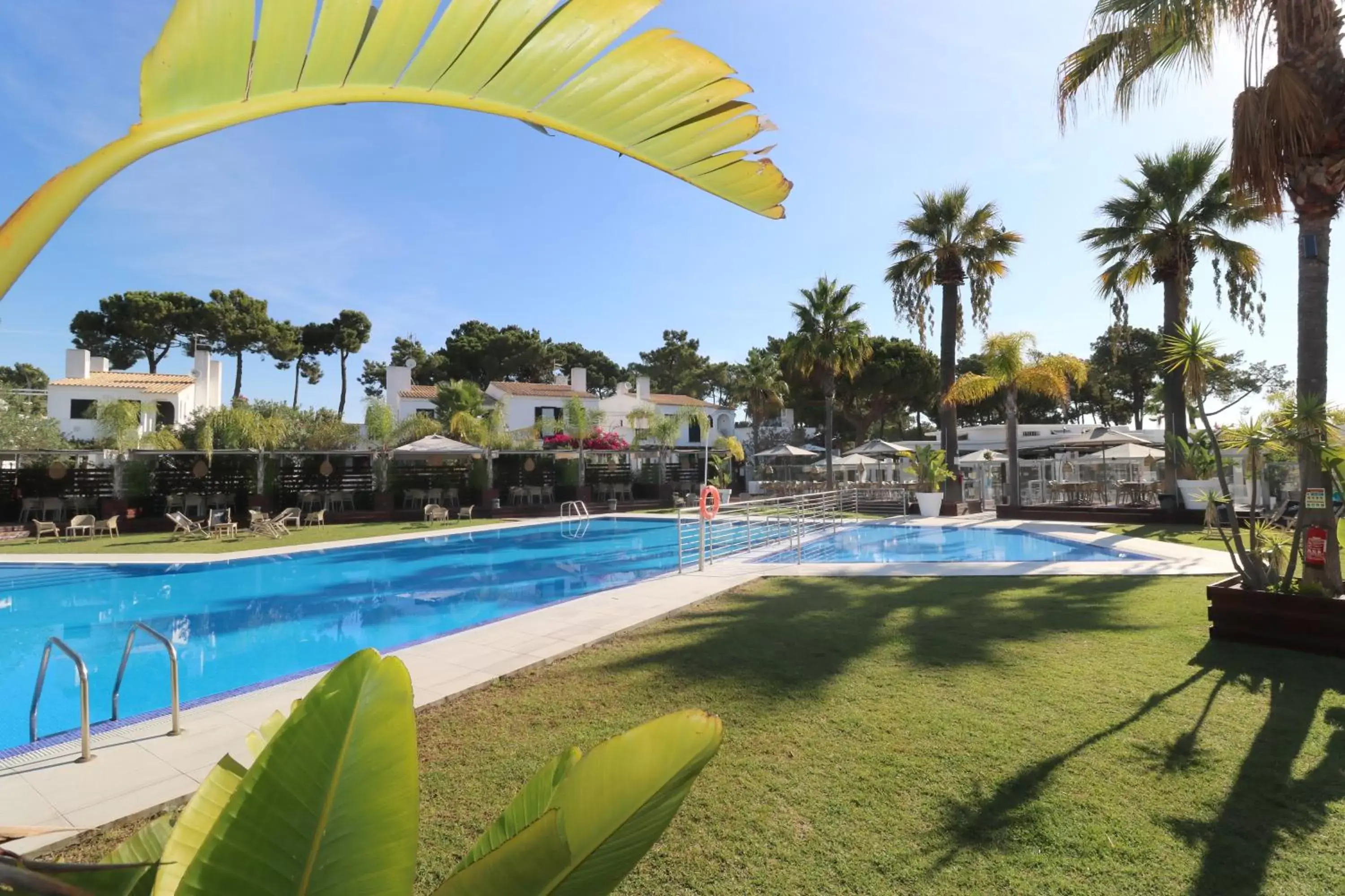 Swimming Pool in Apartamentos Honorio - Pool and Garden