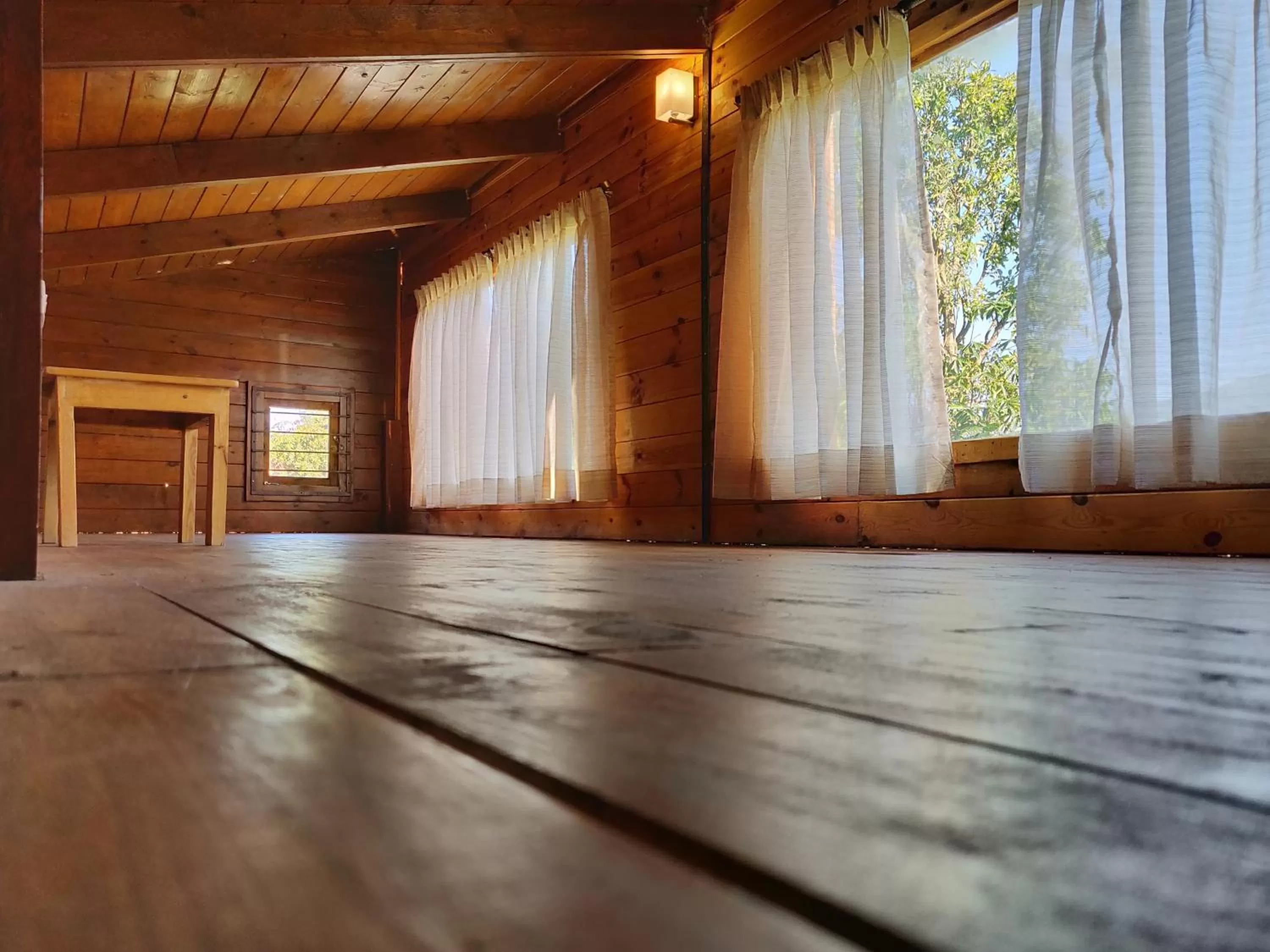 View (from property/room) in labdhi Resorts Masinagudi- Stag Groups not allowed