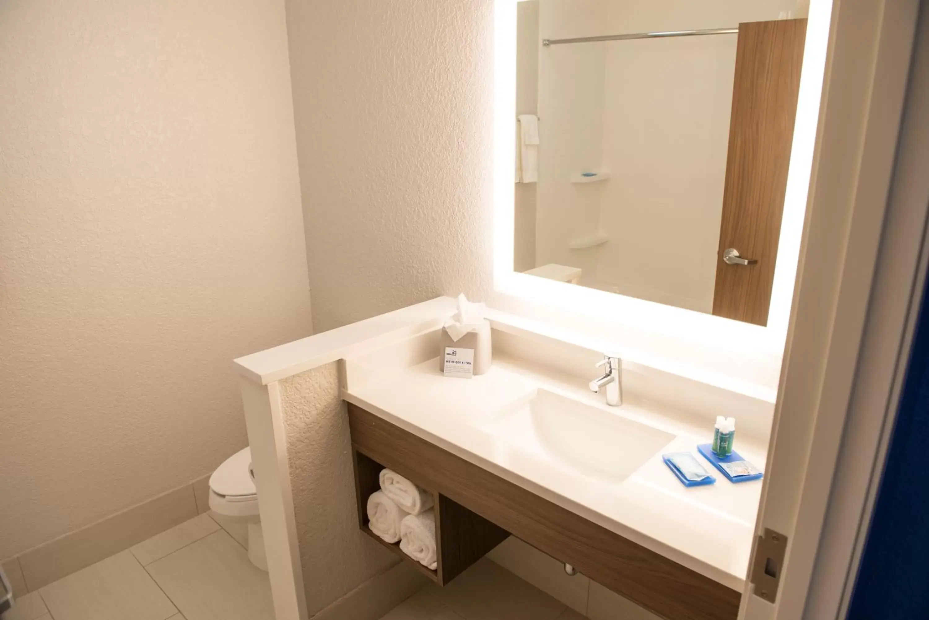 Bathroom in Holiday Inn Express & Suites Dayton North - Vandalia, an IHG Hotel