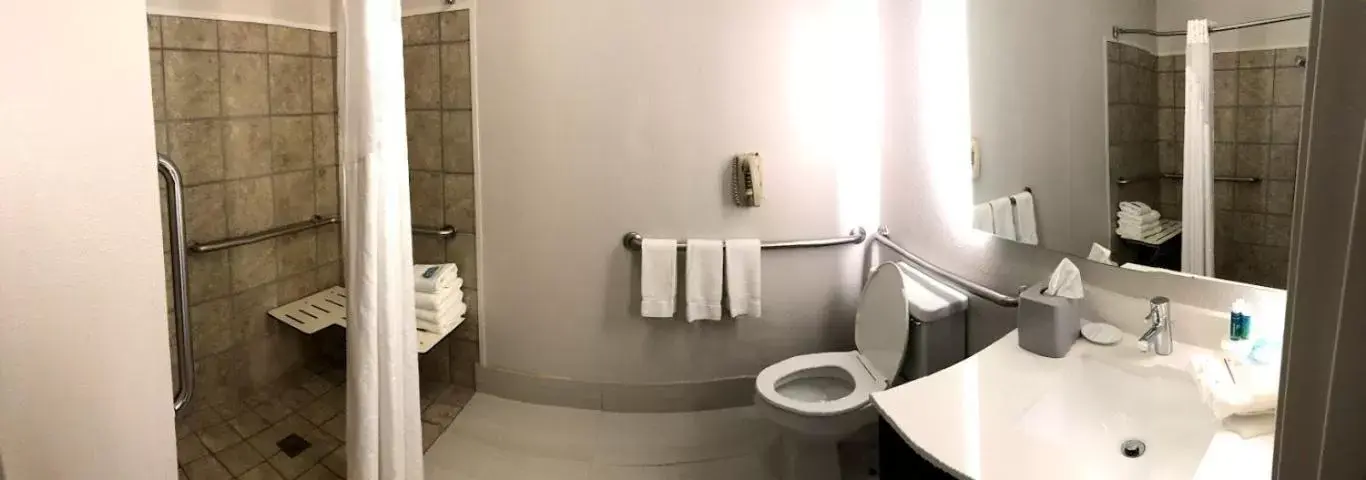Bathroom in Holiday Inn Express Hotel & Suites Decatur, TX, an IHG Hotel
